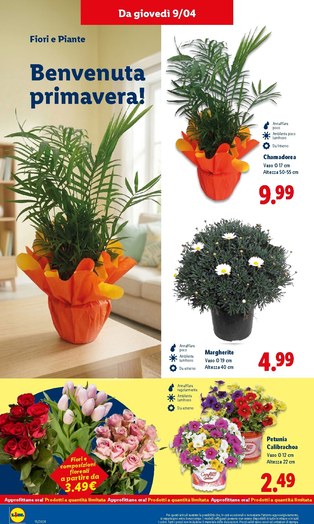 lidl - Volantino futuro Lidl valido dal giovedì 09/04/2026 al mercoledì 15/04/2026 - page: 35