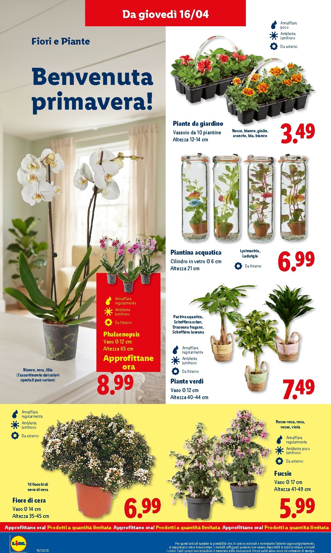 lidl - Volantino Lidl per la prossima settimana dal giovedì 16/04/2026 al mercoledì 22/04/2026 - page: 26