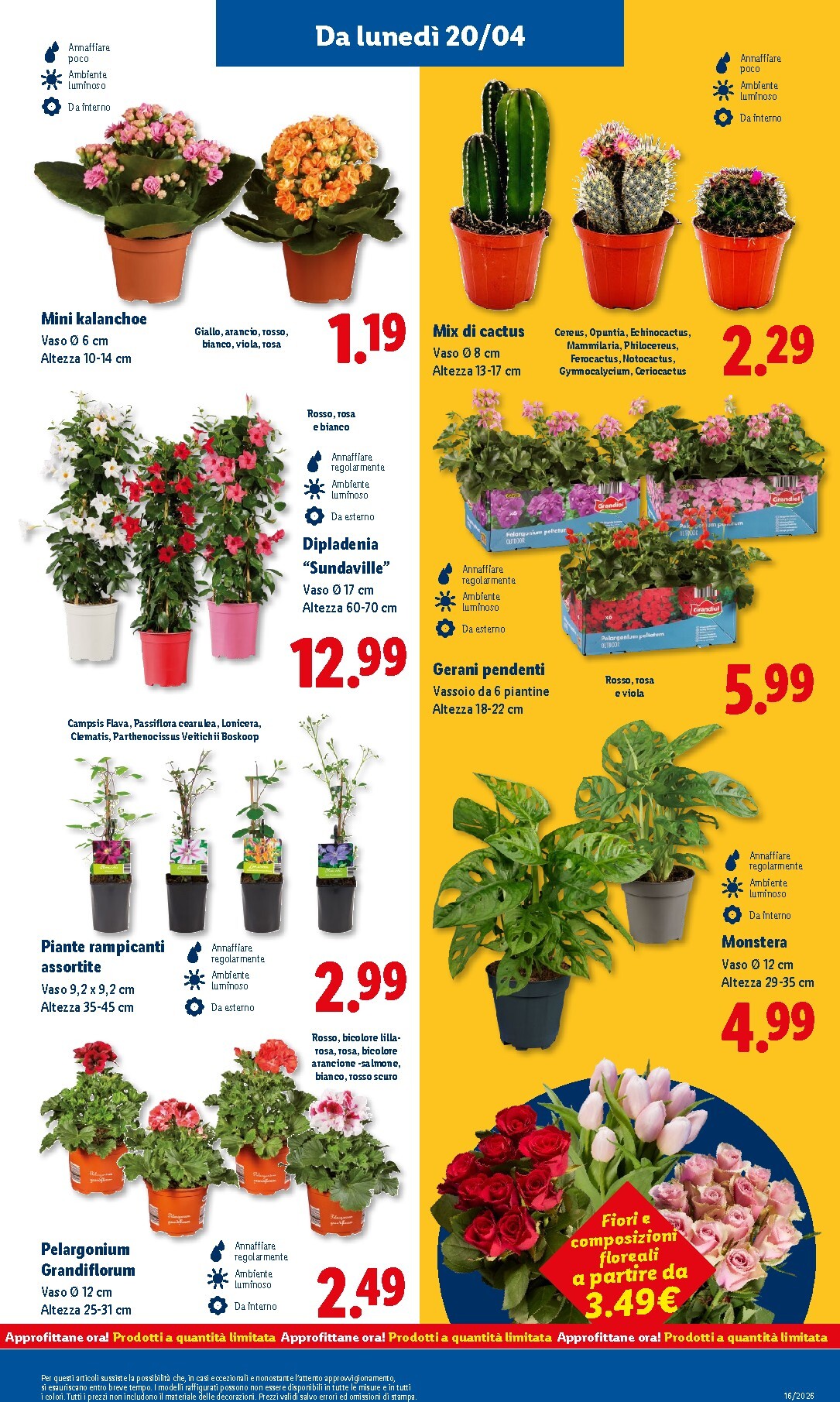 lidl - Volantino Lidl per la prossima settimana dal giovedì 16/04/2026 al mercoledì 22/04/2026 - page: 27