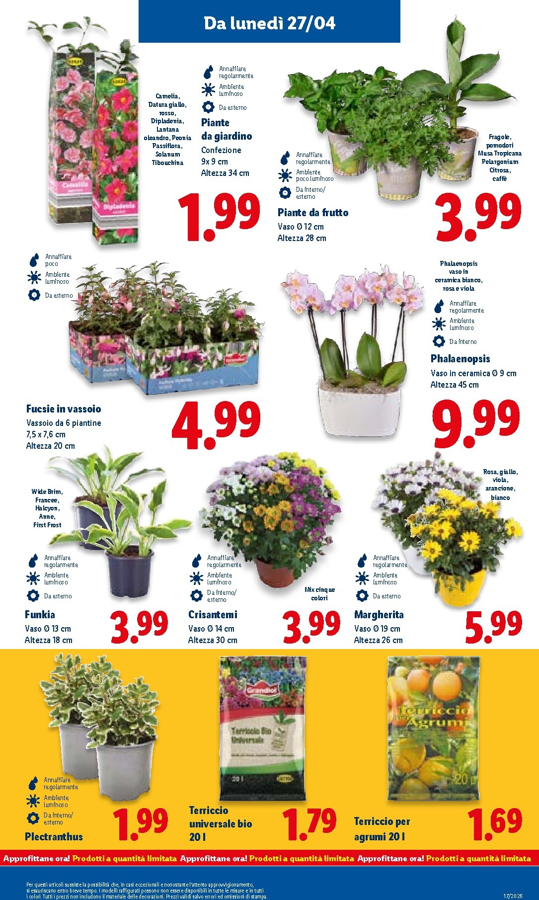 lidl - Volantino Lidl per la prossima settimana dal giovedì 23/04/2026 al mercoledì 29/04/2026 - page: 41