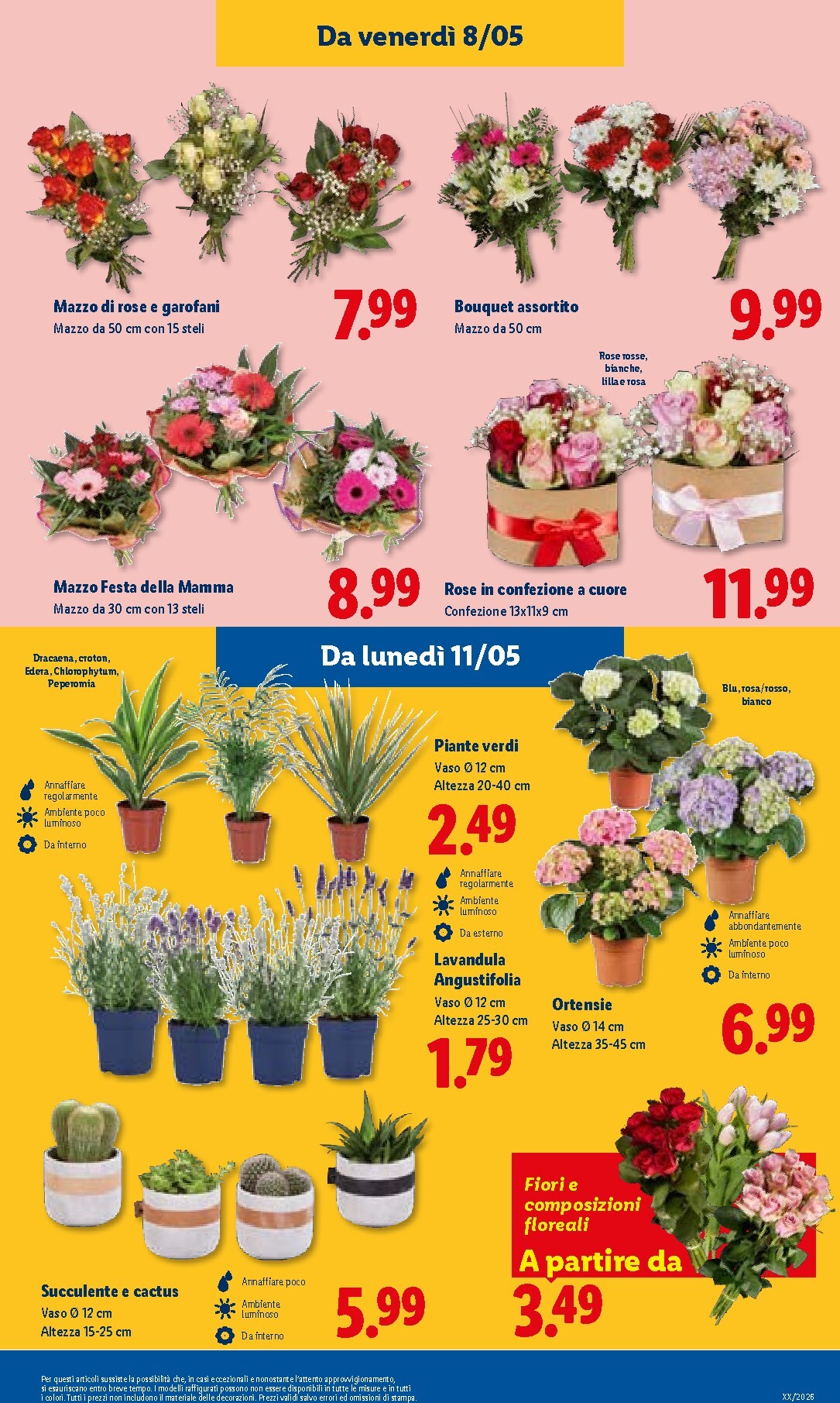 lidl - Volantino Lidl per la prossima settimana dal giovedì 07/05/2026 al mercoledì 13/05/2026 - page: 31