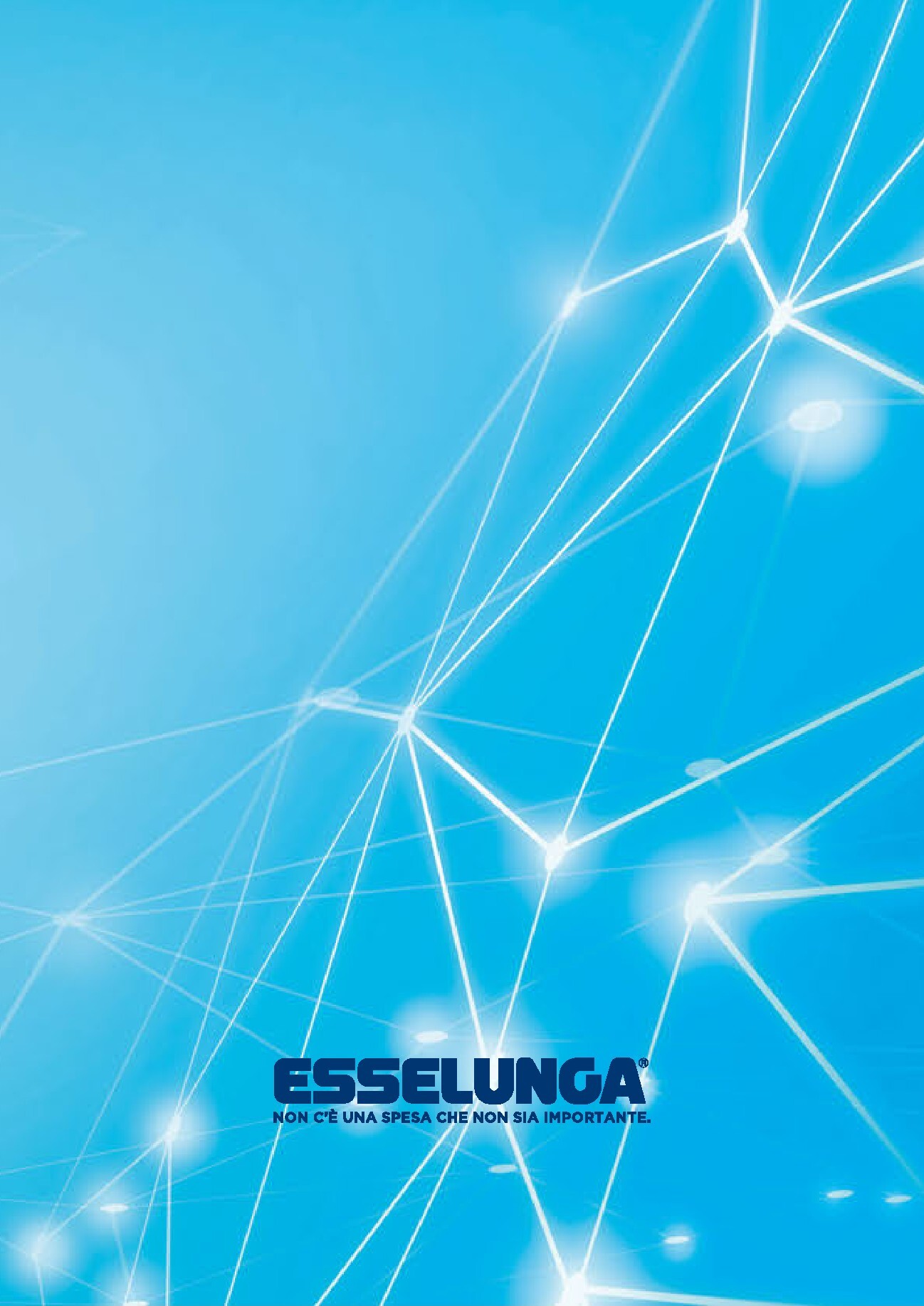 esselunga - Volantino attuale di Esselunga - Speciale Elettrodomestici valido dal mercoledì 15/07/2026 al domenica 18/10/2026 - page: 10