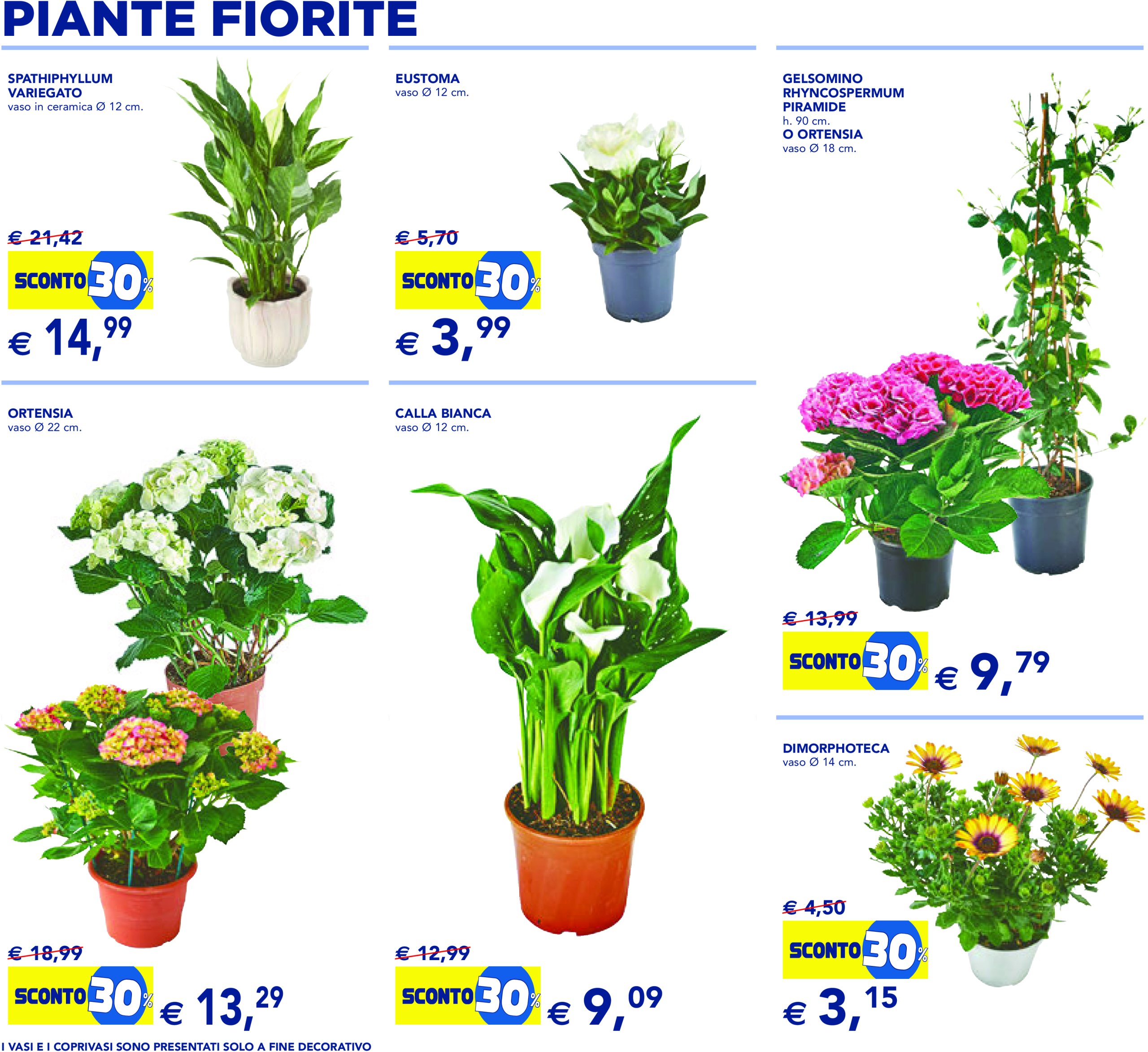 esselunga - Volantino Esselunga - Festa dei fiori valido dal 23/04 al 06/05 - page: 6