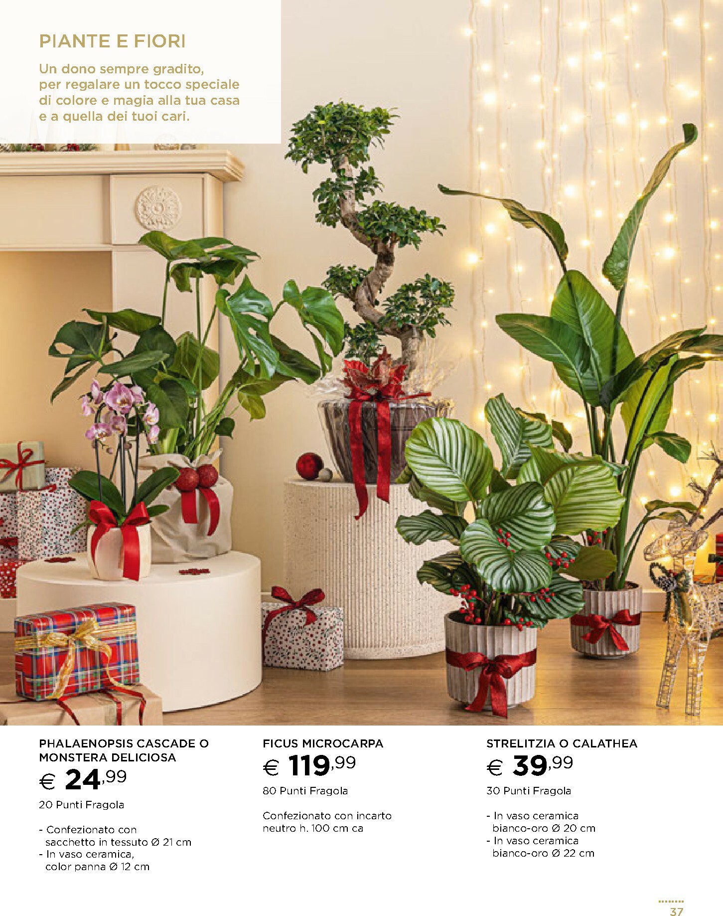 esselunga - Volantino Esselunga - Sotto l'Albero valido dal 13/11 al 31/12 - page: 37