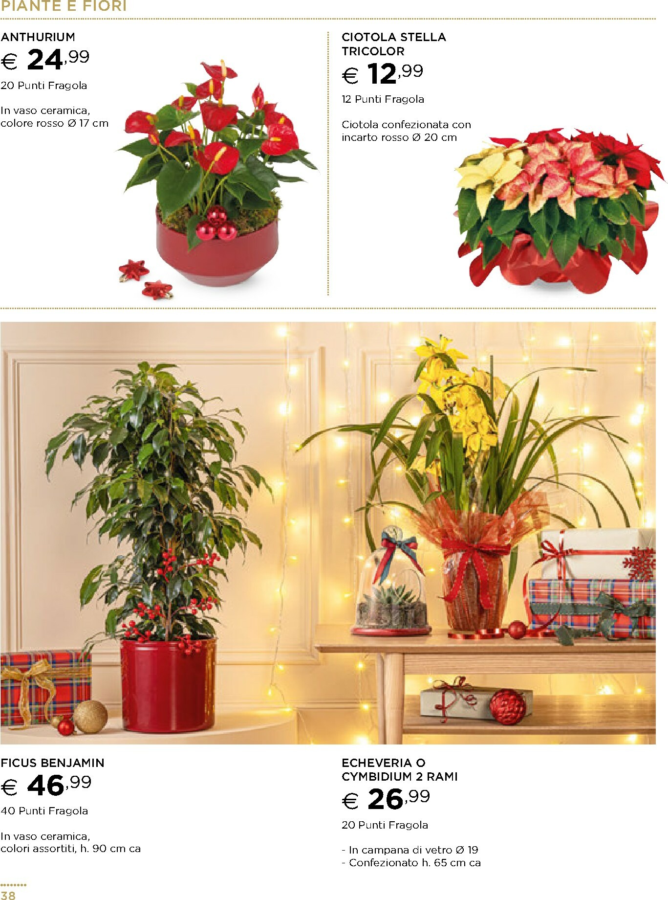 esselunga - Volantino Esselunga - Sotto l'Albero valido dal 13/11 al 31/12 - page: 38