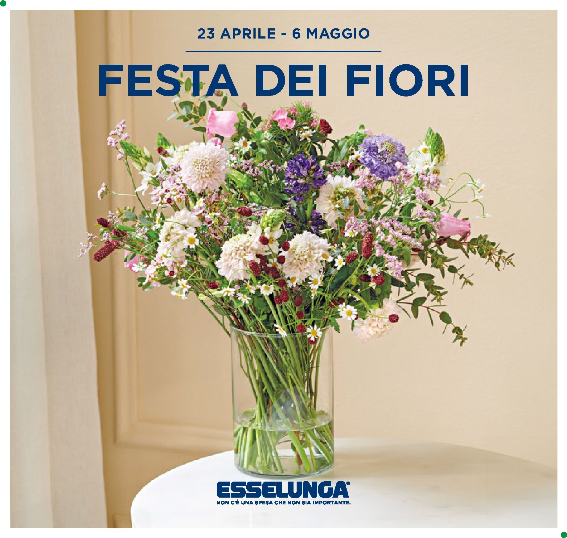 esselunga - Volantino attuale di Esselunga - Festa dei Fiori valido dal giovedì 23/04/2026 al mercoledì 06/05/2026