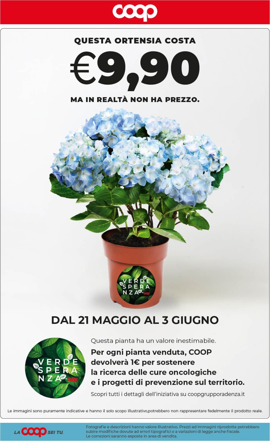 coop - Volantino attuale di Coop valido dal venerdì 29/05/2026 al lunedì 08/06/2026 - page: 45