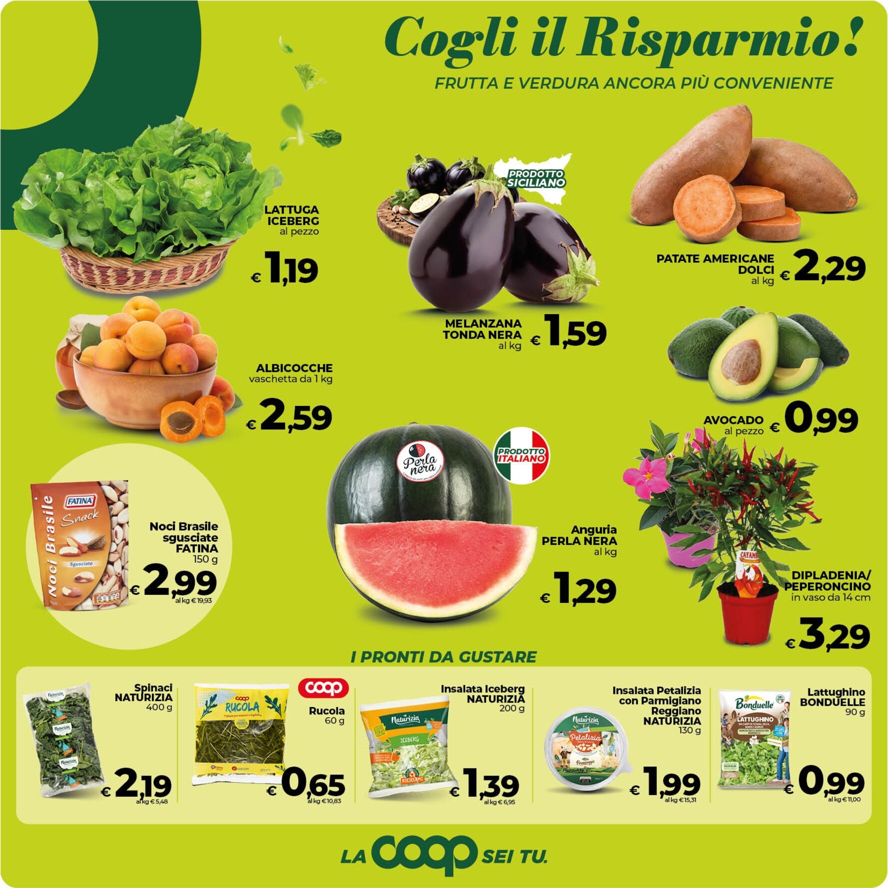 coop - Volantino attuale di Coop Speciale valido dal venerdì 29/05/2026 al lunedì 08/06/2026 - page: 11