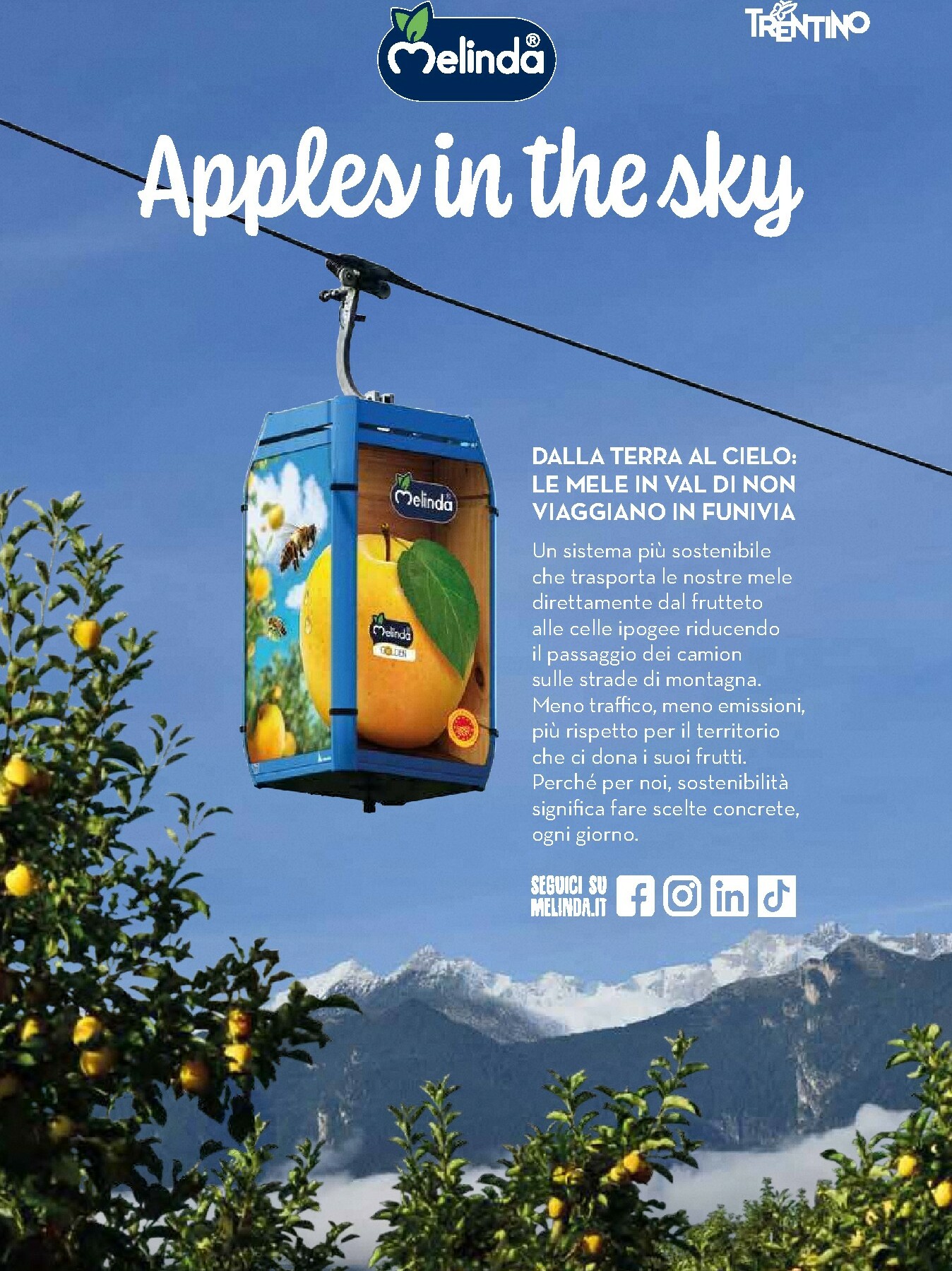 coop - Volantino Coop - Regali di Guste valido dal 01/12 al 24/12 - page: 38