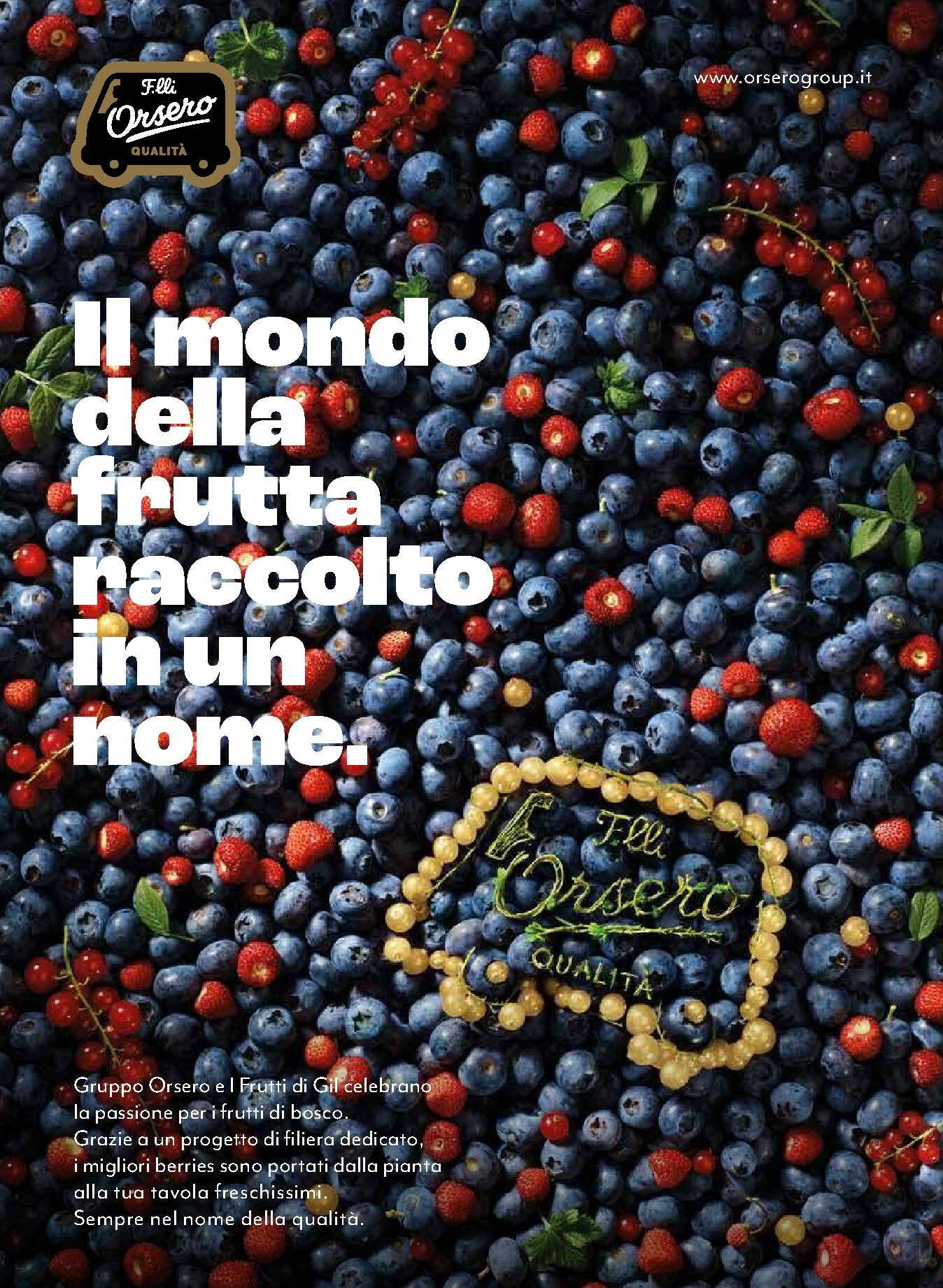 coop - Volantino Coop - Regali di Guste valido dal 01/12 al 24/12 - page: 28