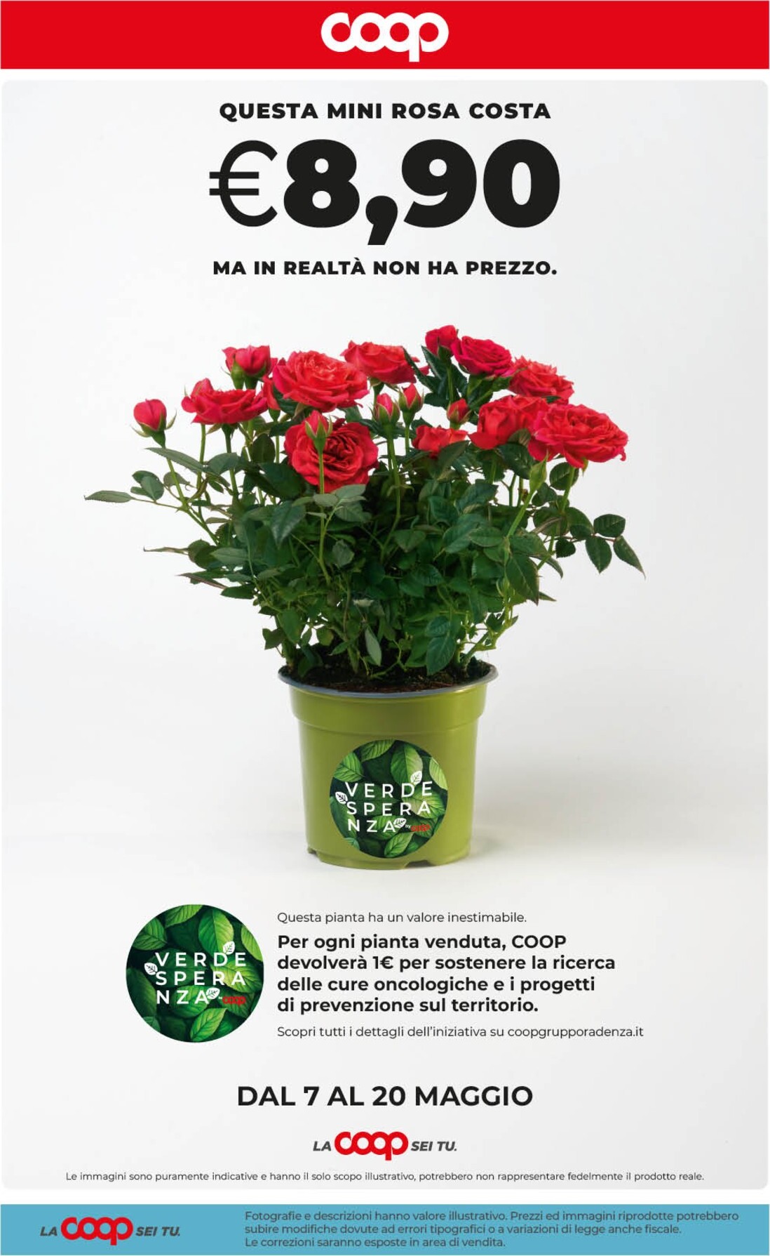 coop - Volantino attuale di Coop - Grandi Marche valido dal giovedì 07/05/2026 al lunedì 18/05/2026 - page: 41