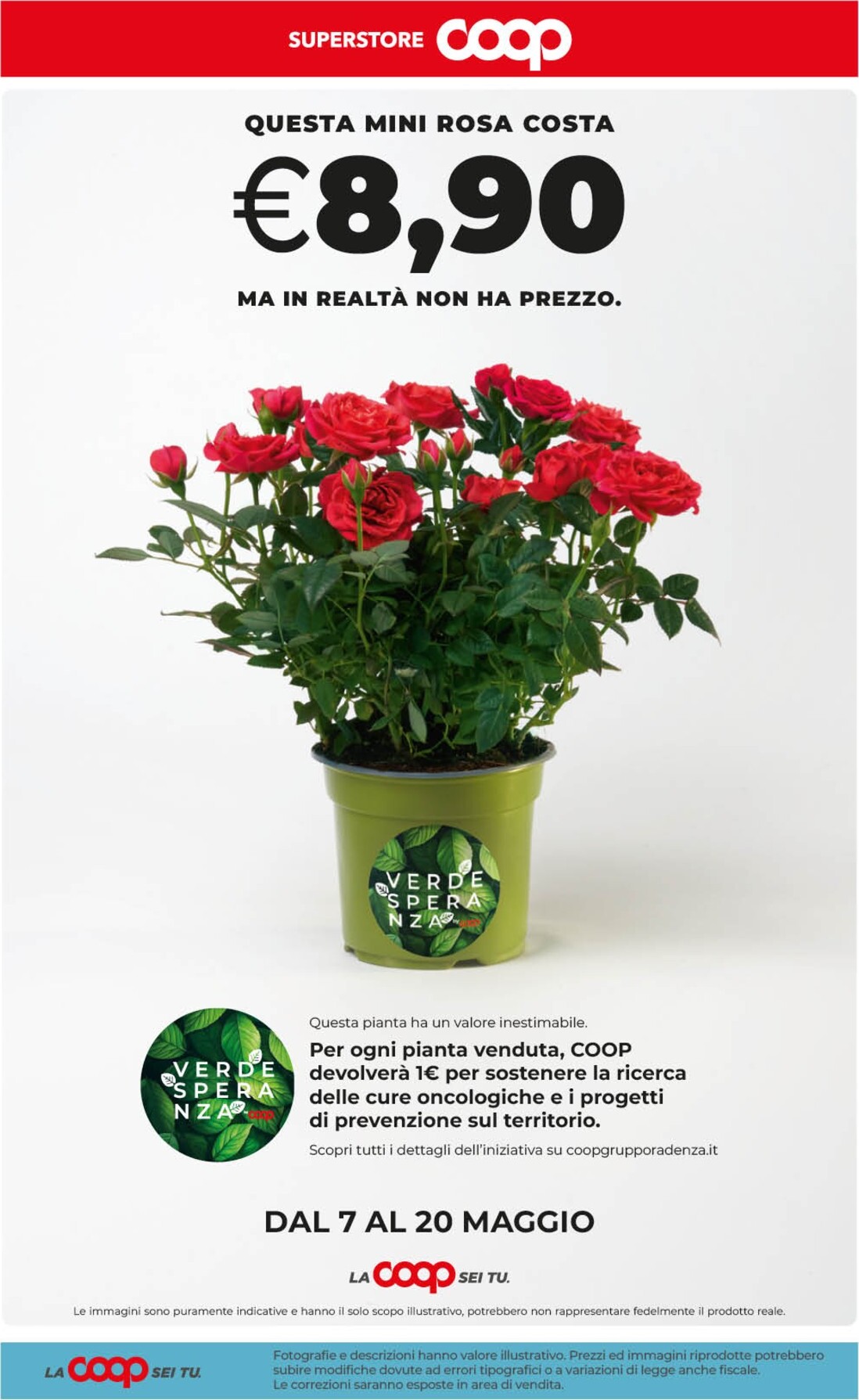 coop - Volantino attuale di Coop Superstore - Grandi Marche valido dal giovedì 07/05/2026 al lunedì 18/05/2026 - page: 41
