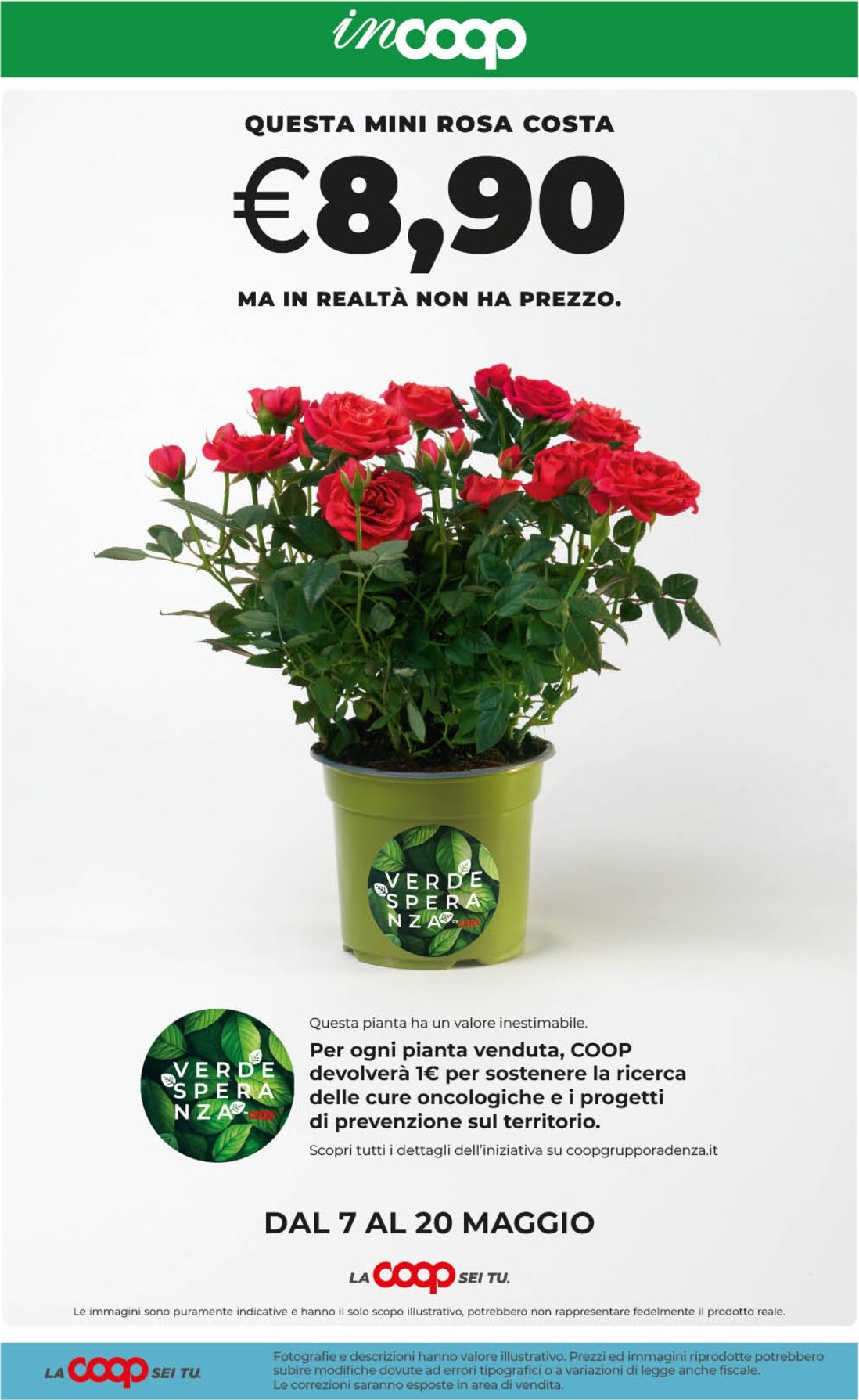 coop - Volantino attuale di inCoop valido dal giovedì 07/05/2026 al lunedì 18/05/2026 - page: 33