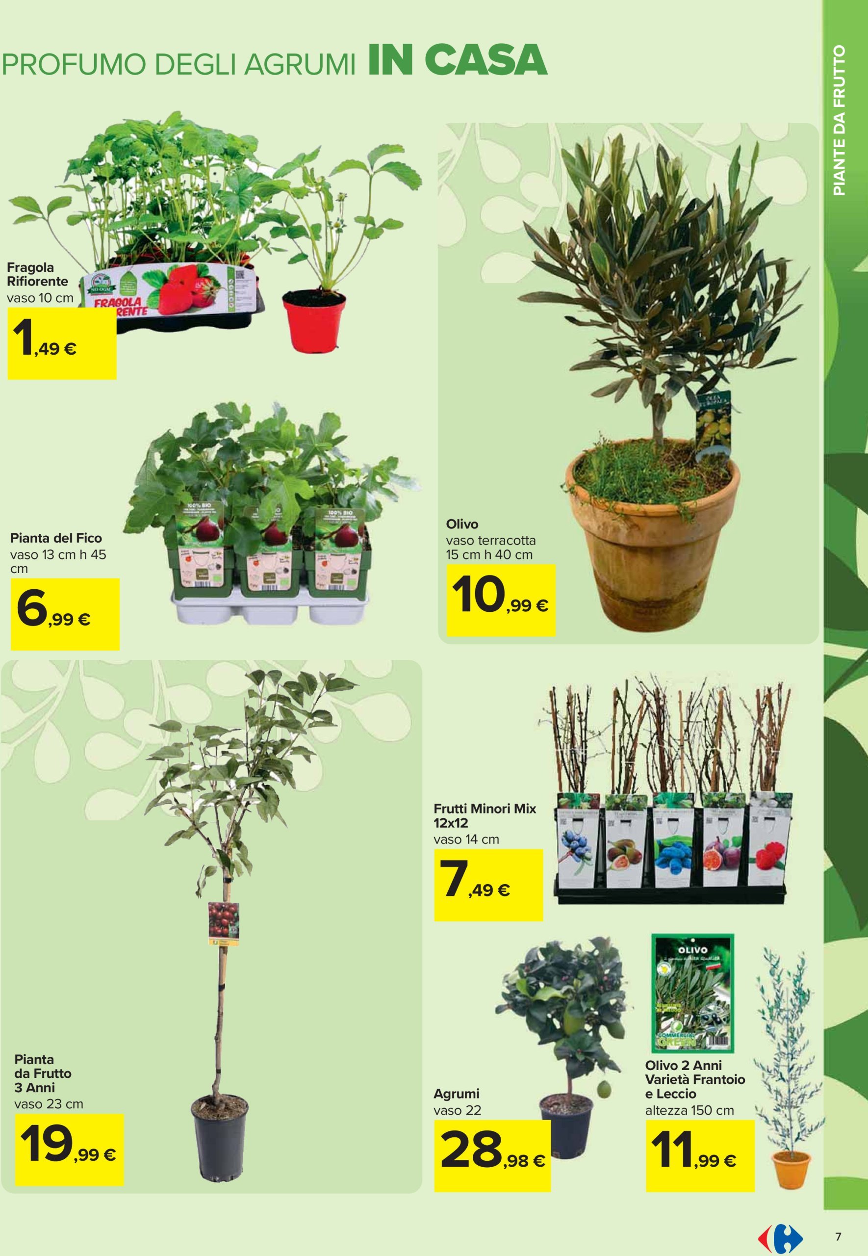 carrefour - Volantino Carrefour - Catalogo giardinaggio valido dal 20/02 al 01/04 - page: 7