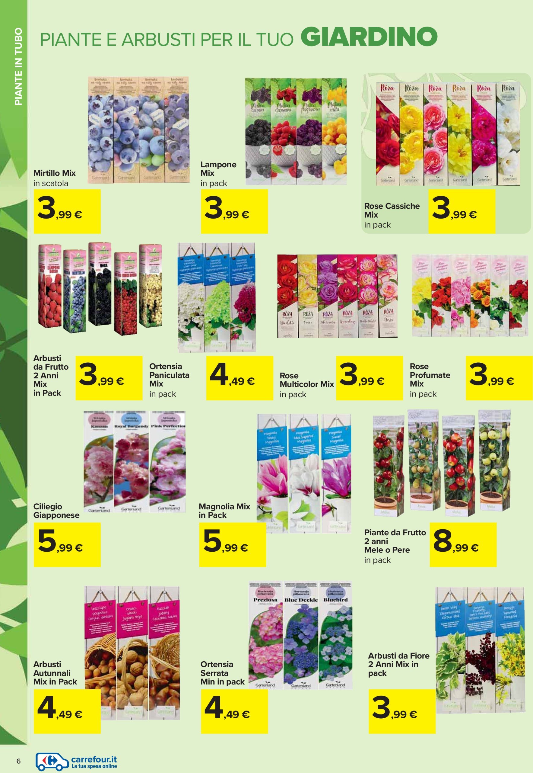 carrefour - Volantino Carrefour - Catalogo giardinaggio valido dal 20/02 al 01/04 - page: 6