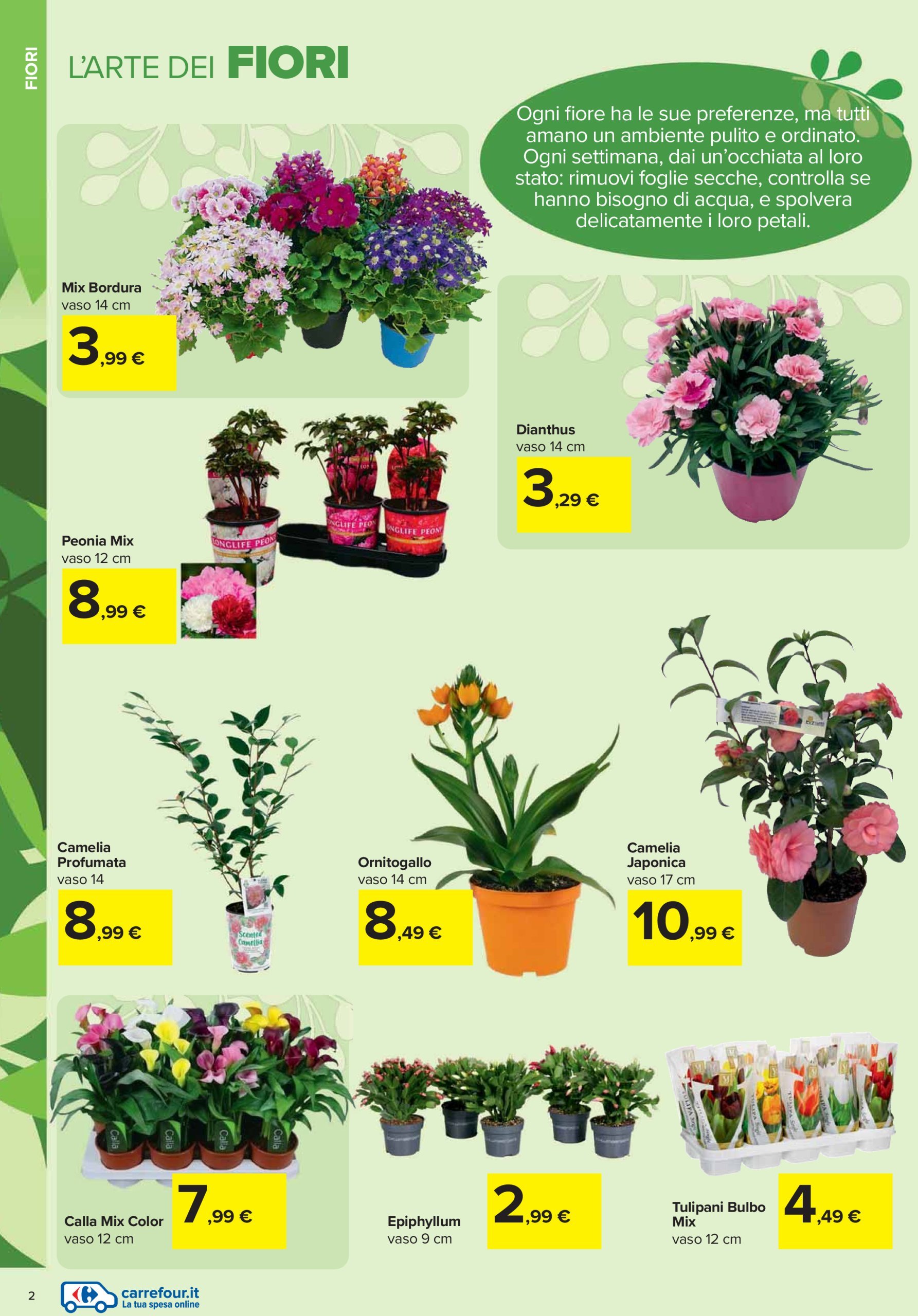 carrefour - Volantino Carrefour - Catalogo giardinaggio valido dal 20/02 al 01/04 - page: 2