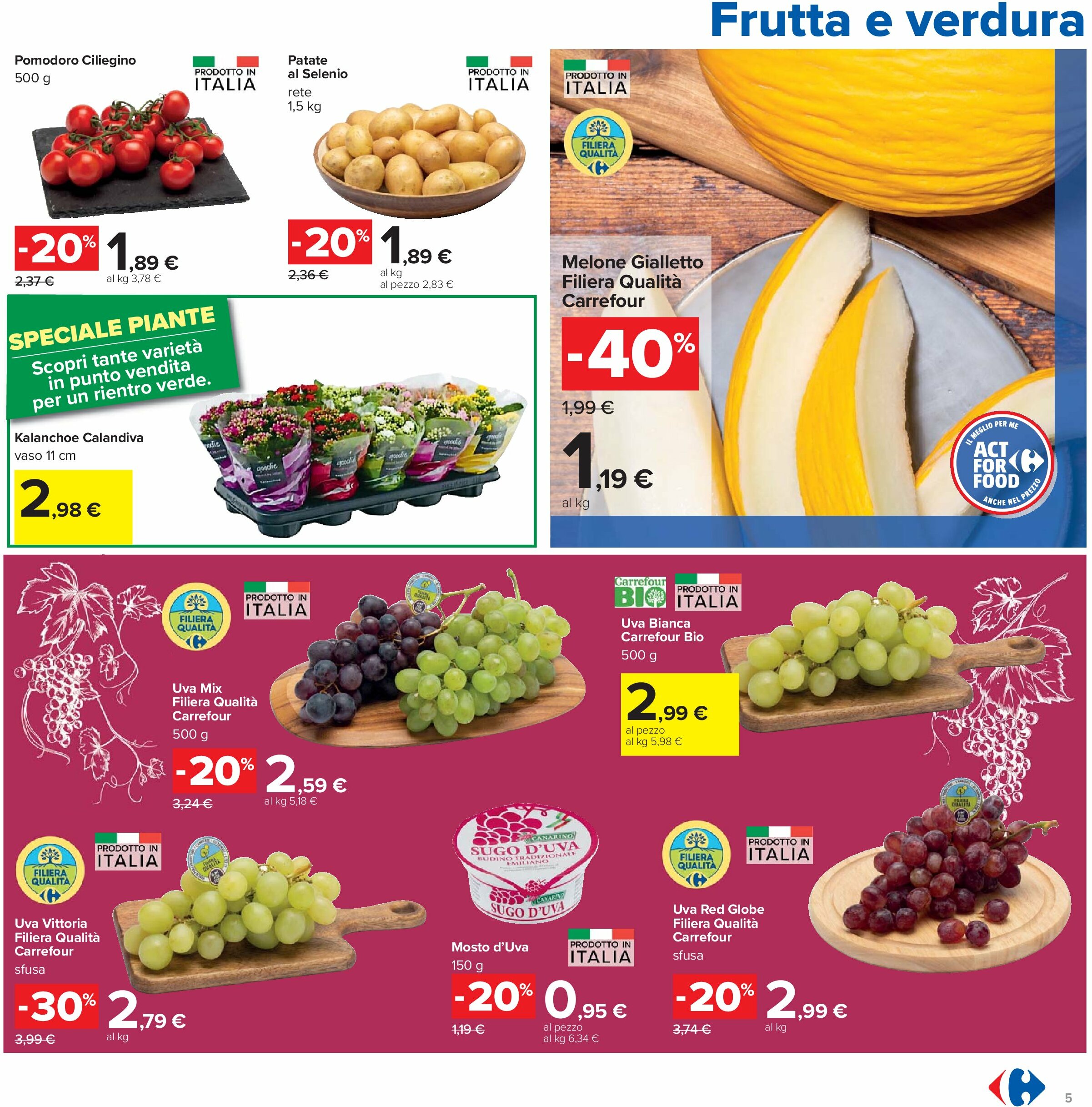 carrefour - Volantino Carrefour - Sconti 30%, 40% e 50% valido dal 21/08 al 04/09 - page: 5