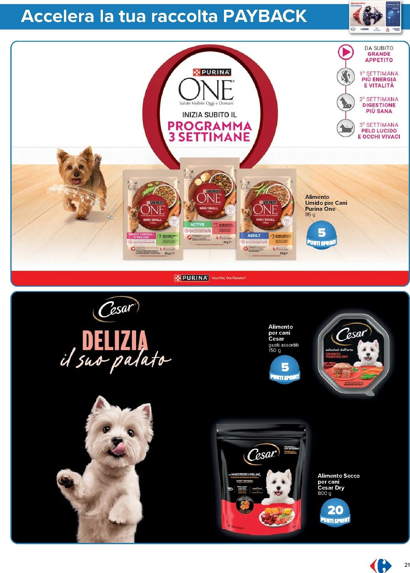 carrefour - Volantino Carrefour - Punti Sprint Payback valido dal 02/01 al 14/01 - page: 21