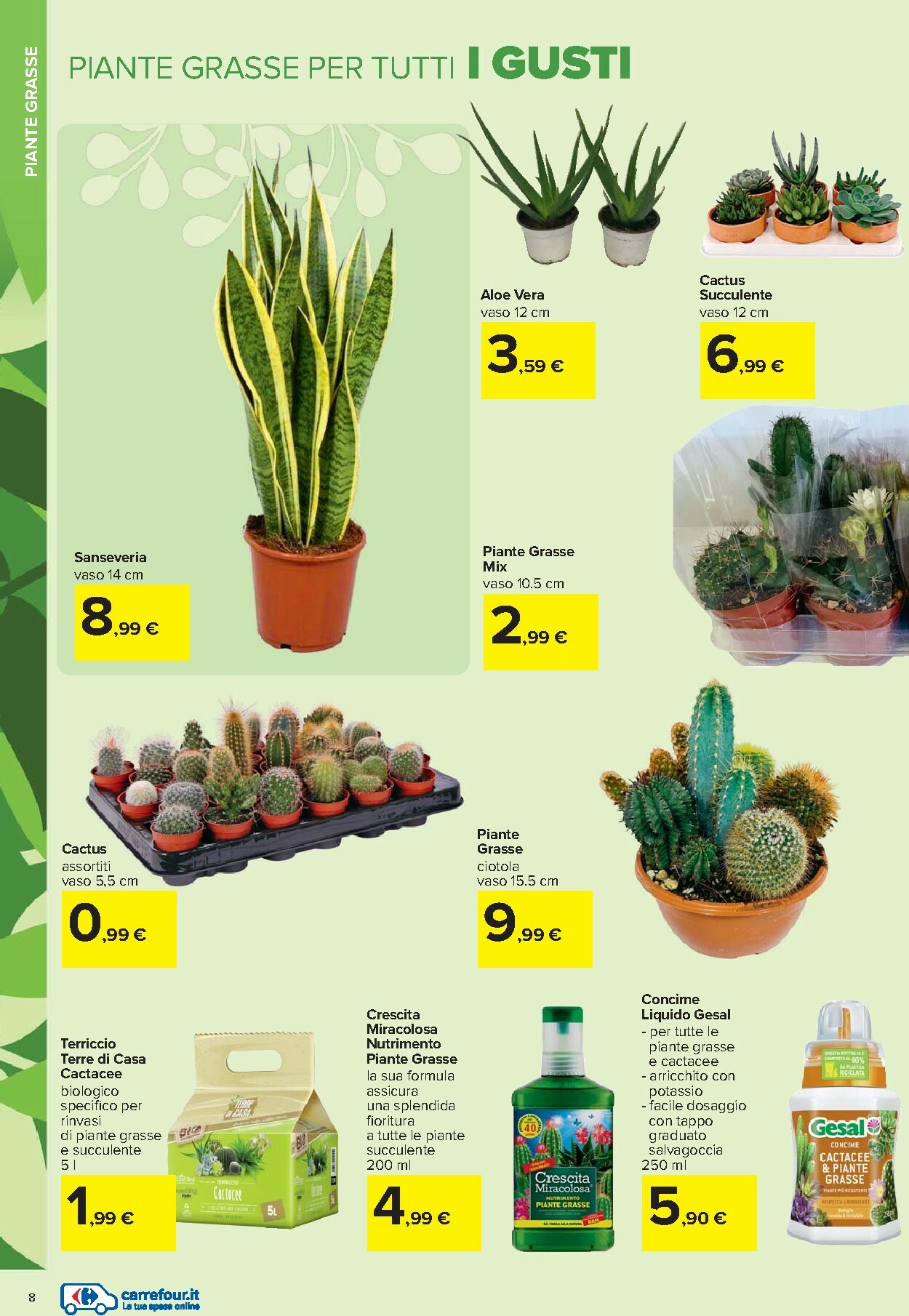 carrefour - Volantino Carrefour - Catalogo giardinaggio valido dal 19/02/2026 al 06/04/2026 - page: 8
