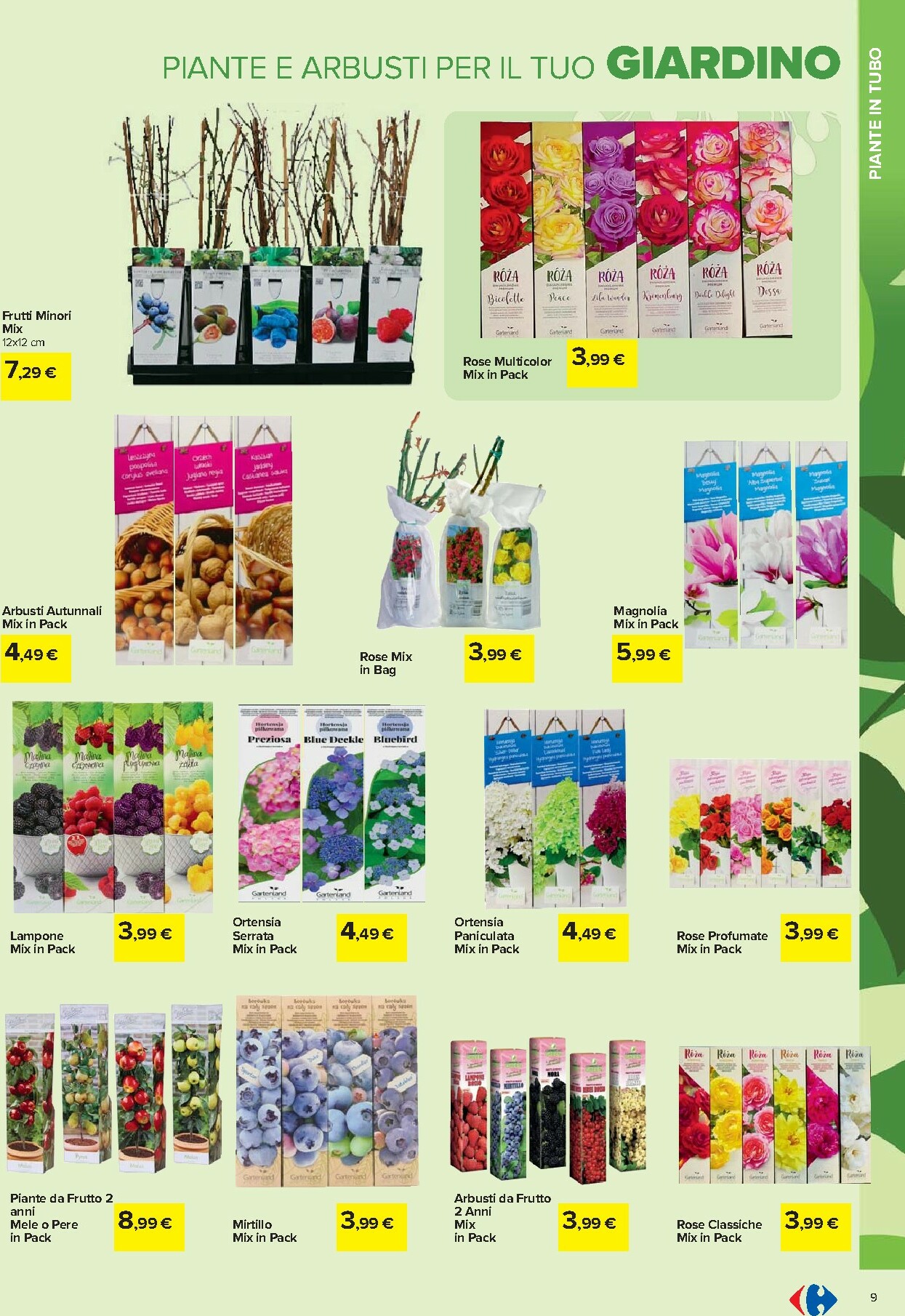 carrefour - Volantino Carrefour - Catalogo giardinaggio valido dal 19/02/2026 al 06/04/2026 - page: 9