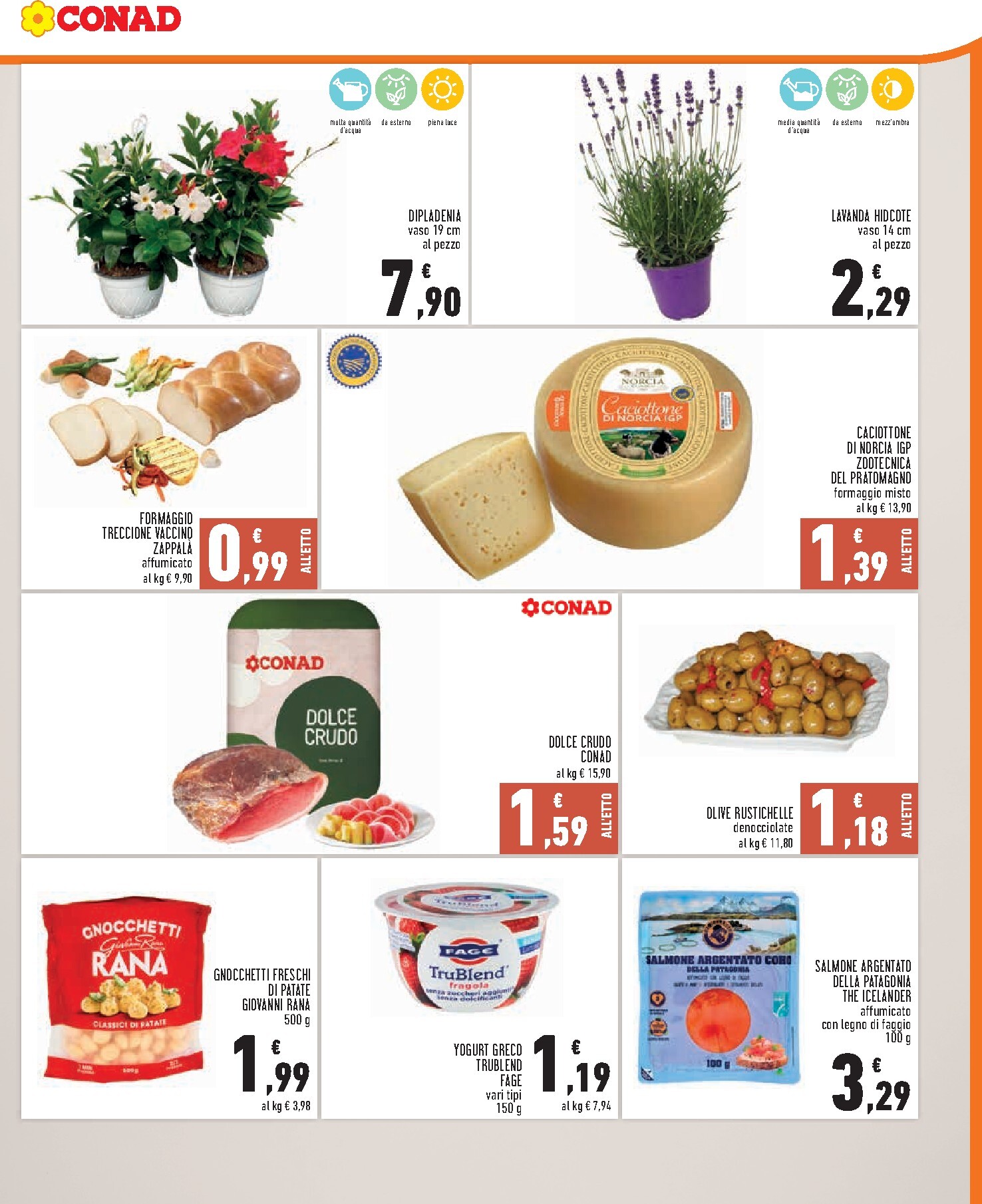 conad - Volantino attuale di Conad - Convenienza Più valido dal mercoledì 27/05/2026 al martedì 02/06/2026 - page: 3