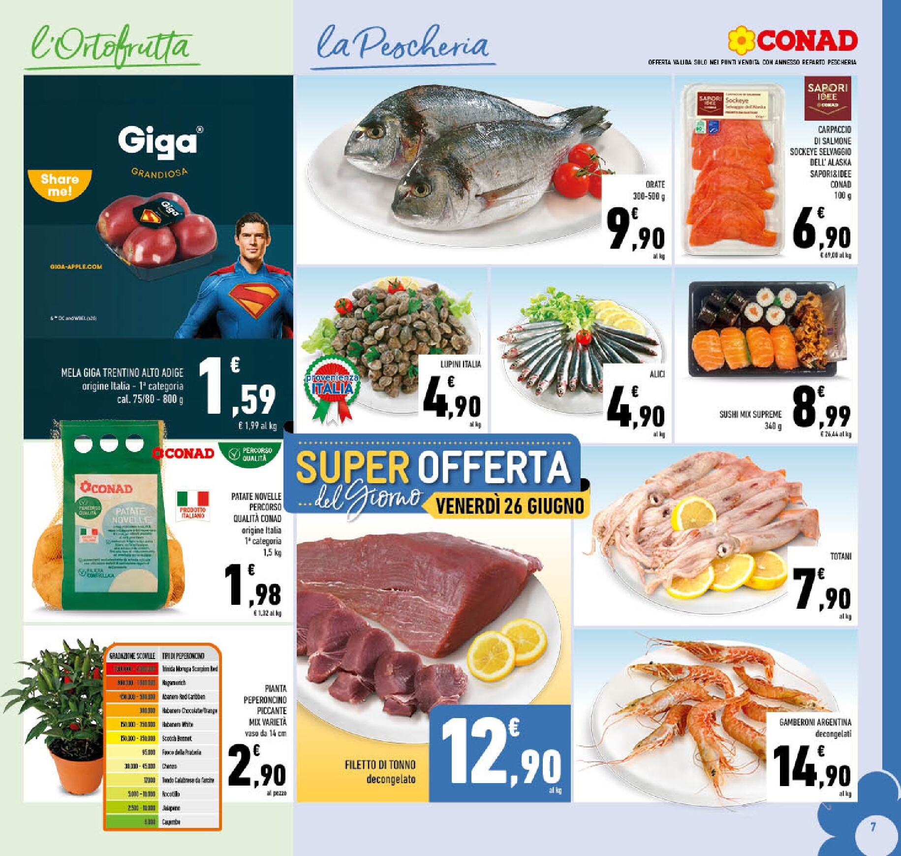 conad - Volantino futuro Conad valido dal mercoledì 17/06/2026 al domenica 28/06/2026 - page: 7