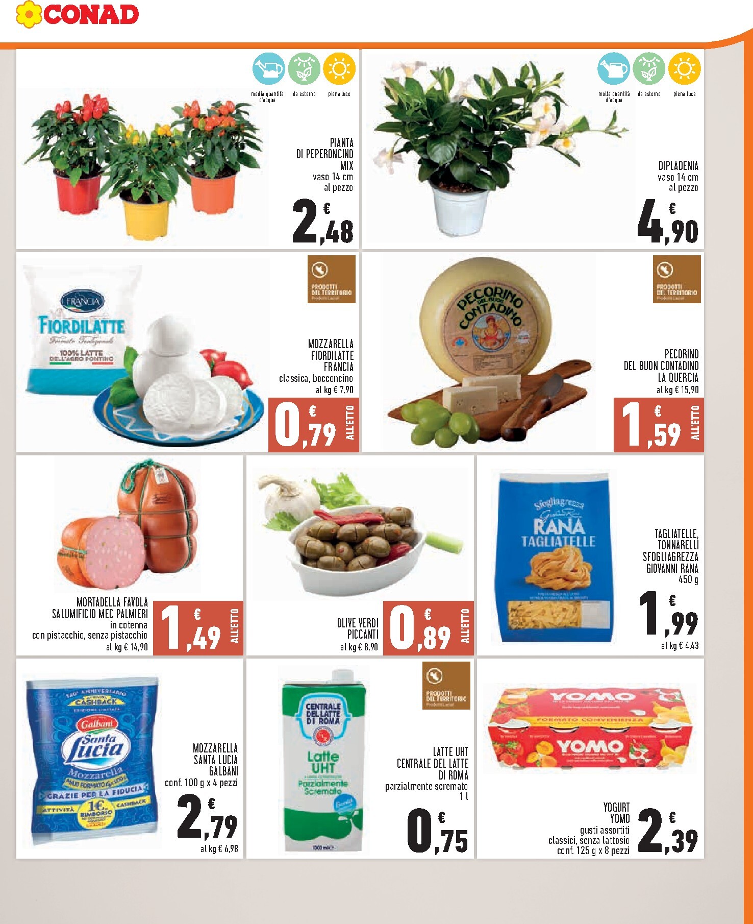 conad - Volantino attuale di Conad valido dal mercoledì 24/06/2026 al martedì 30/06/2026 - page: 3