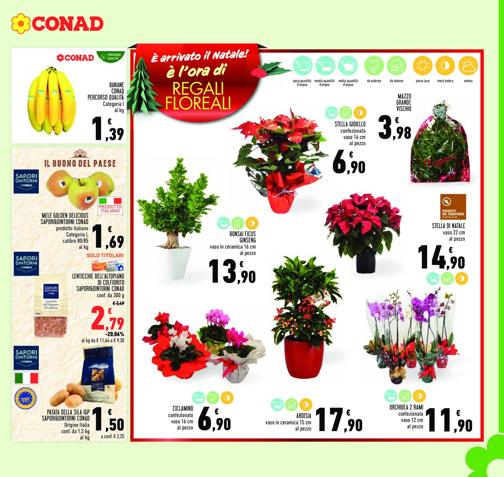 conad - Volantino Conad valido dal 09/12 al 26/12 - page: 13