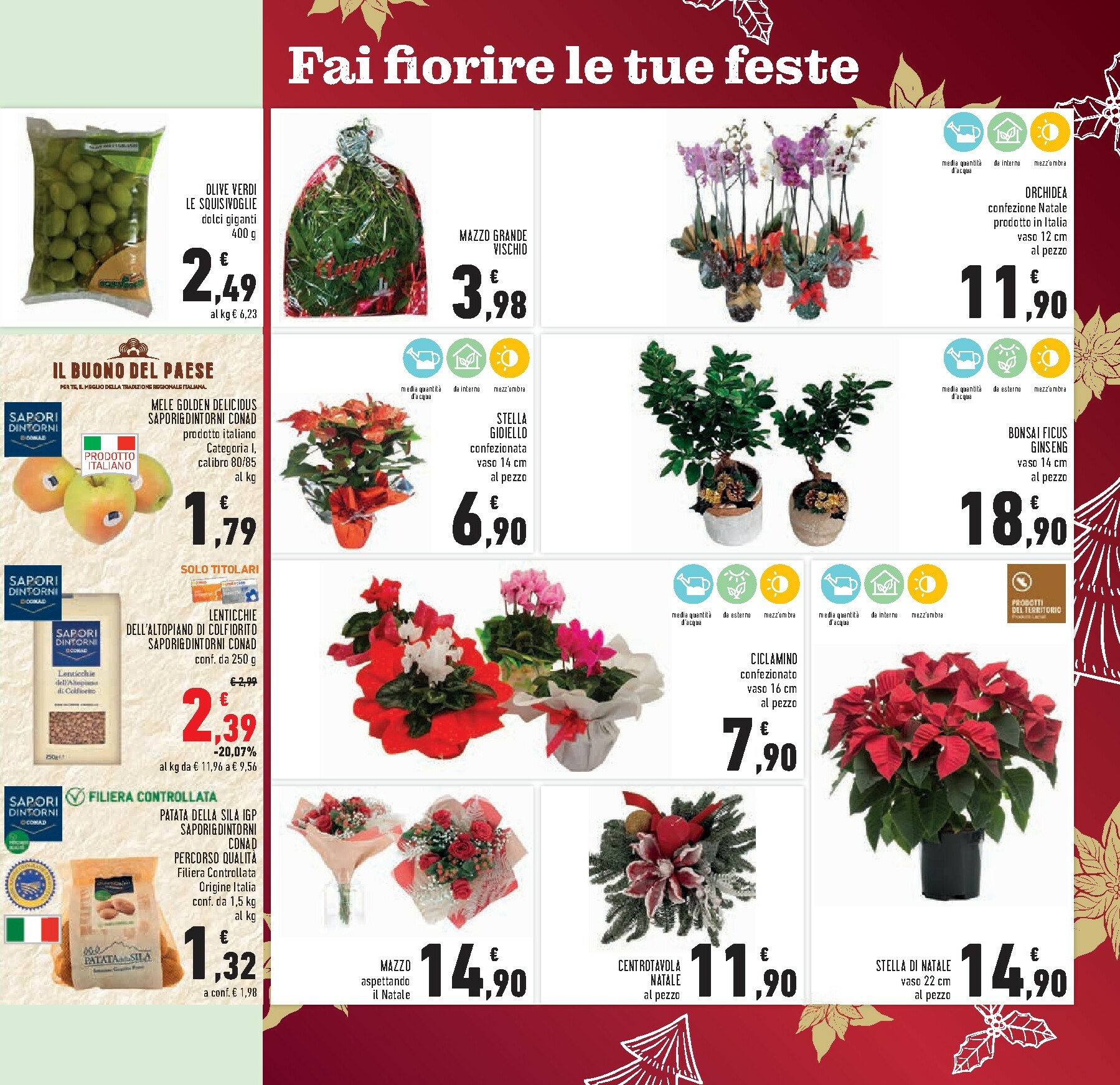 conad - Volantino Conad valido dal 10/12 al 26/12 - page: 15