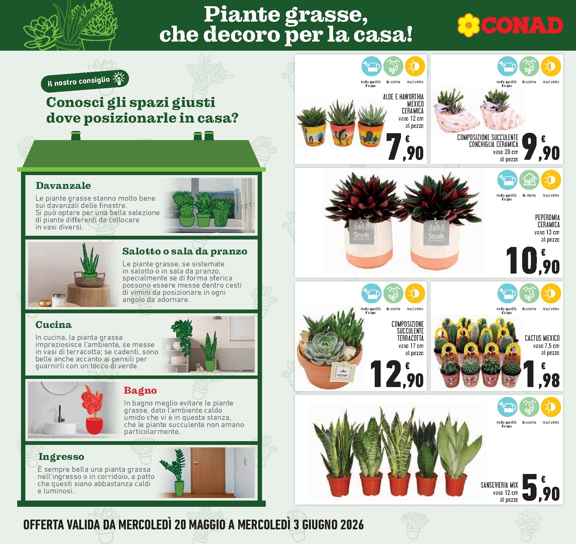 conad - Volantino Conad per la prossima settimana dal mercoledì 20/05/2026 al mercoledì 03/06/2026 - page: 22