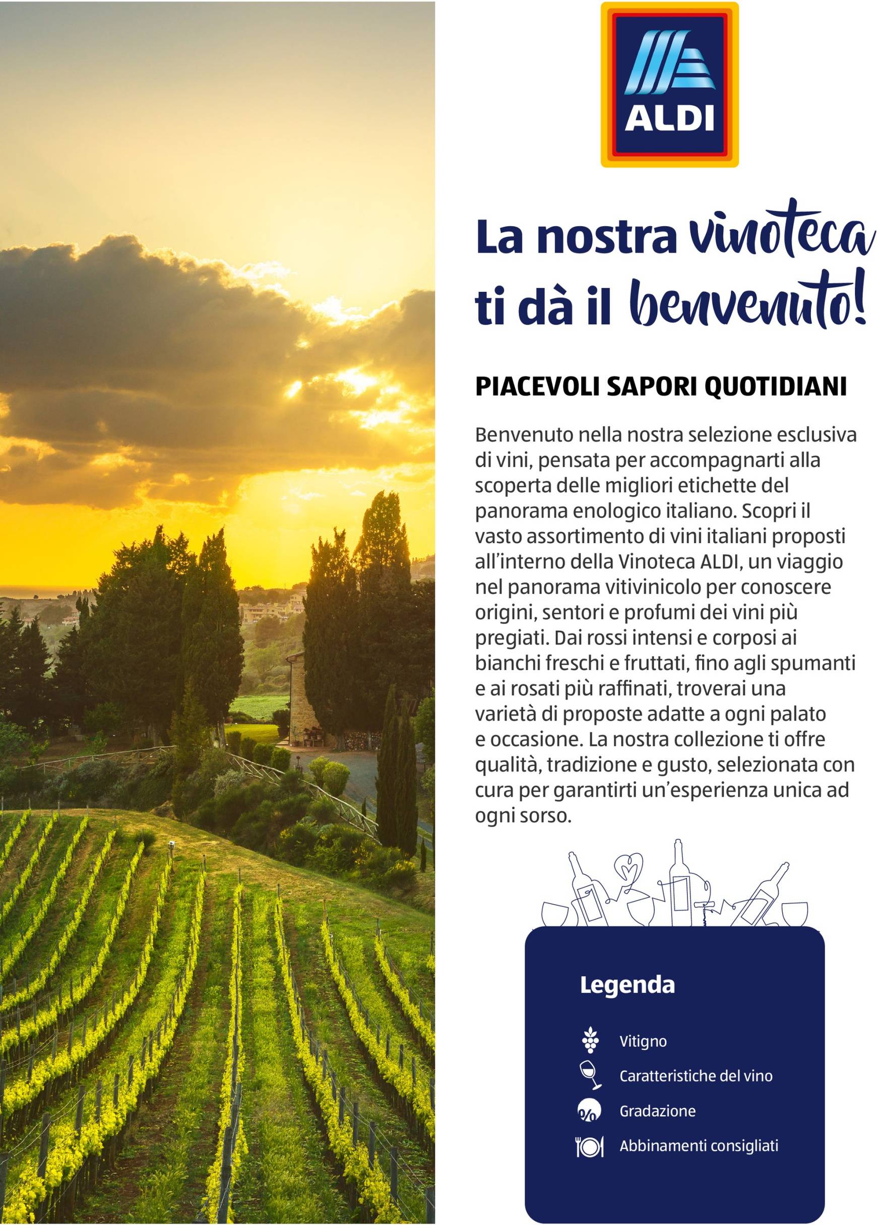 aldi - Volantino ALDI - Brochure Vinoteca valido dal 04.11. al 30.11. - page: 2