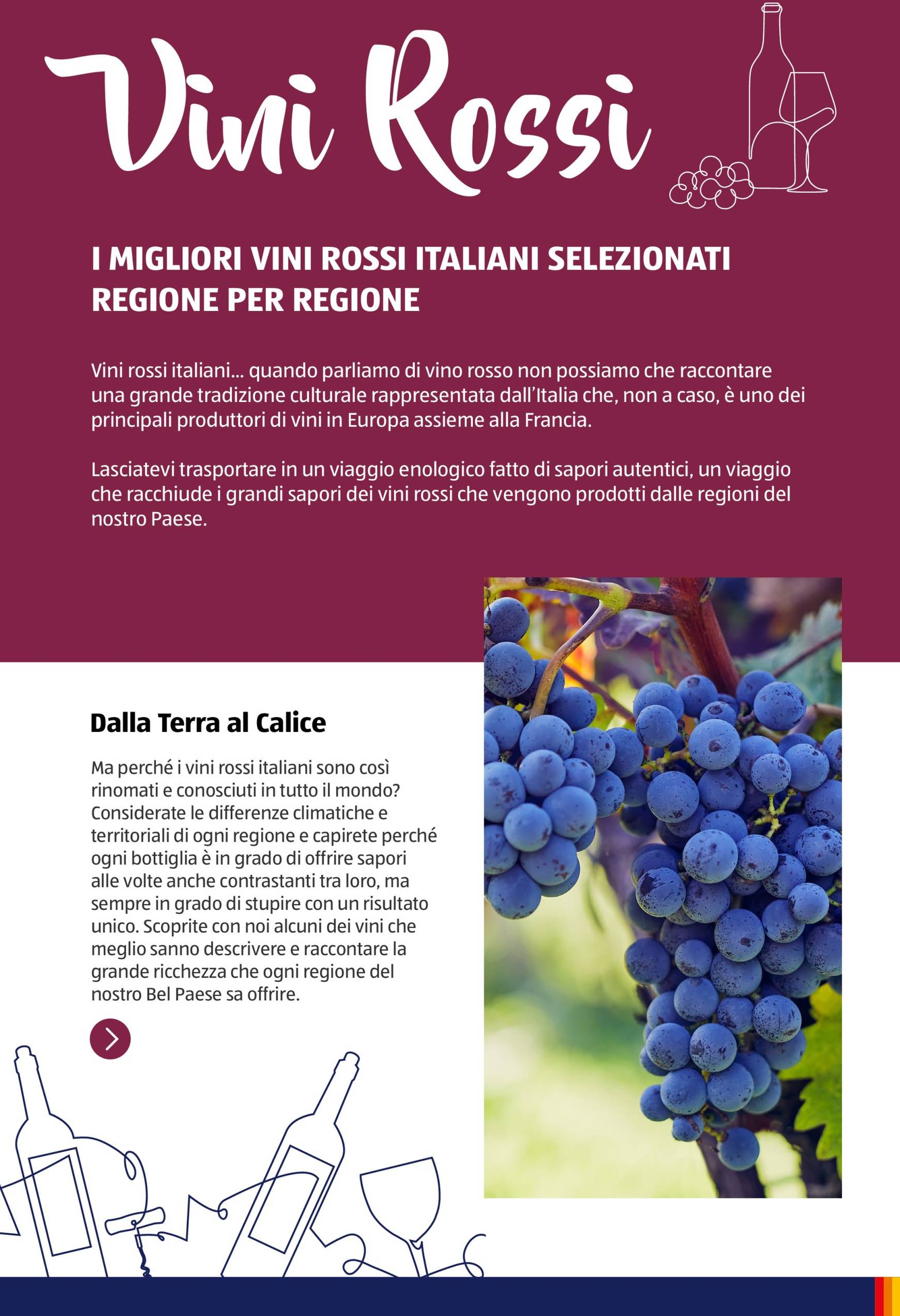 aldi - Volantino ALDI - Brochure Vinoteca valido dal 04.11. al 30.11. - page: 6