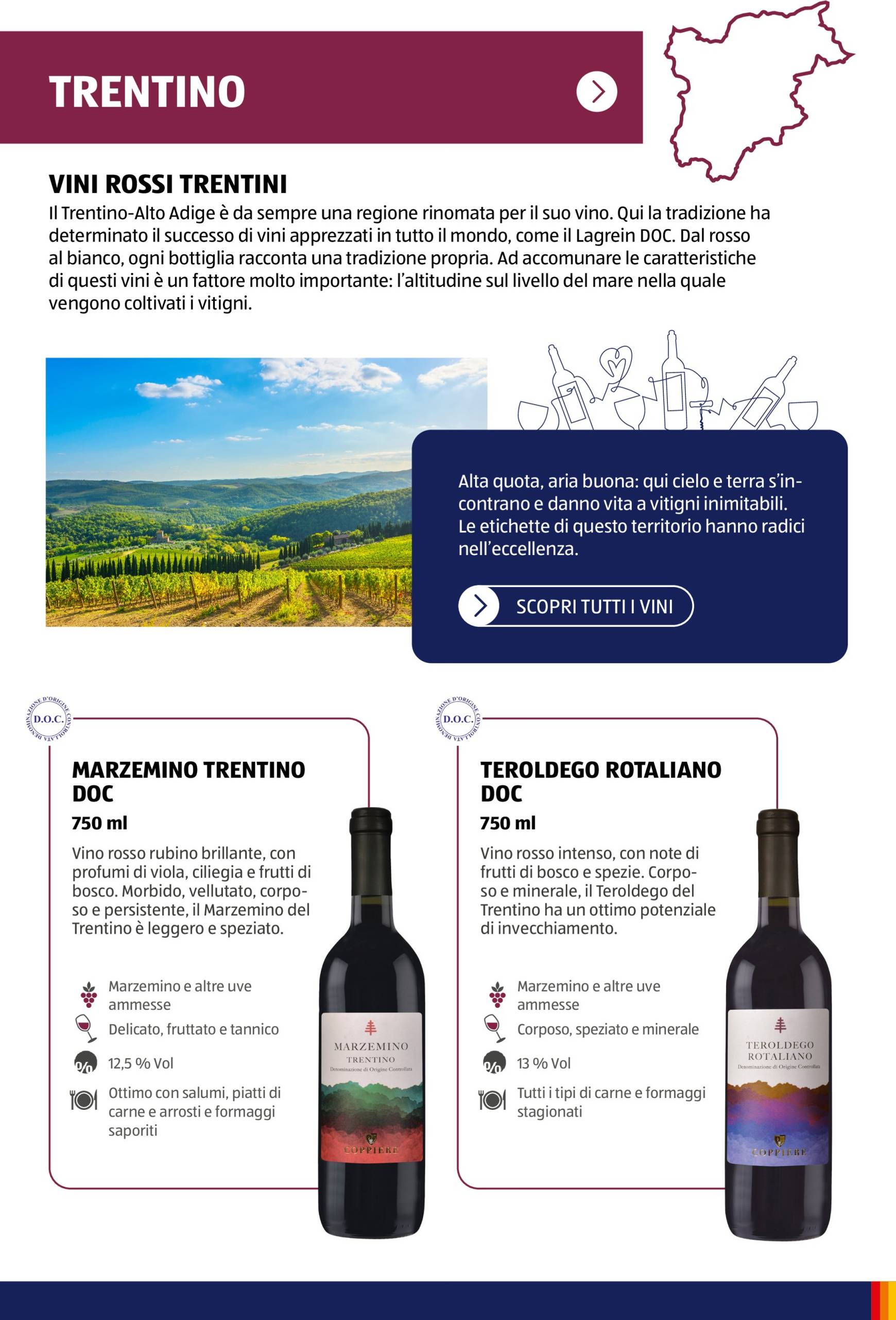 aldi - Volantino ALDI - Brochure Vinoteca valido dal 04.11. al 30.11. - page: 14