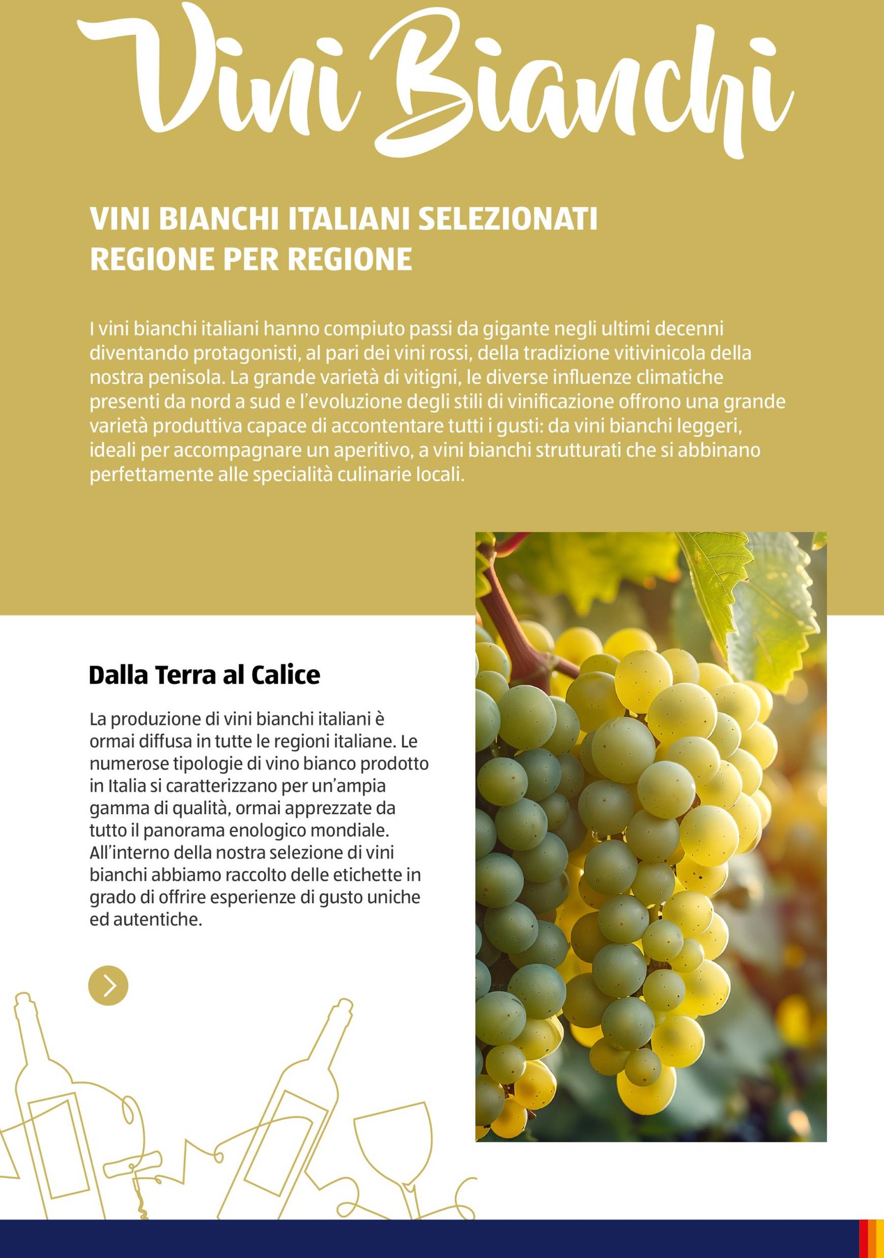 aldi - Volantino ALDI - Brochure Vinoteca valido dal 04.11. al 30.11. - page: 26