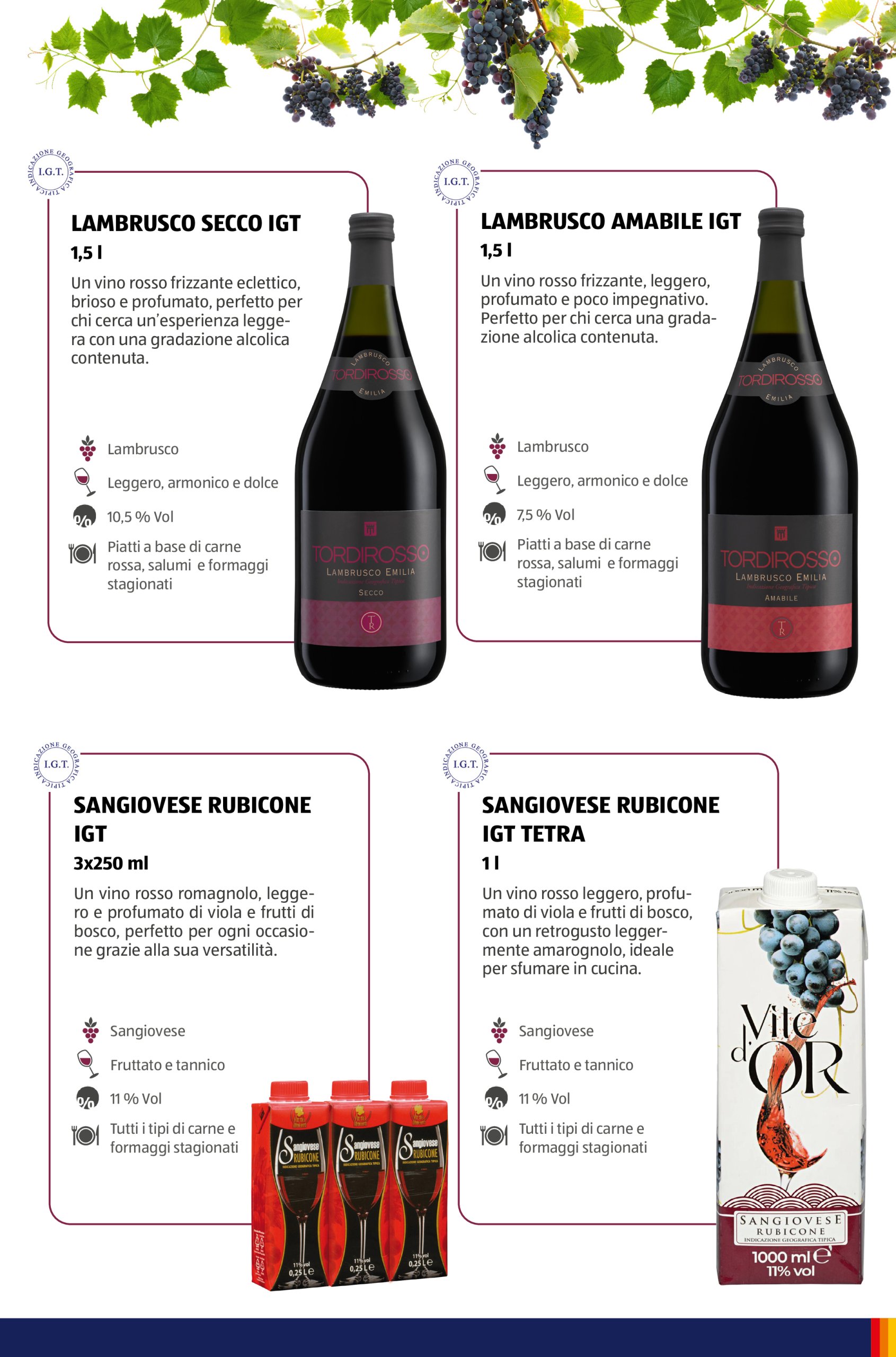 aldi - Volantino ALDI - Brochure Vinoteca valido dal 15/05 al 31/08 - page: 21 aldi - Volantino ALDI - Brochure Vinoteca valido dal 15/05 al 31/08 - page: 21