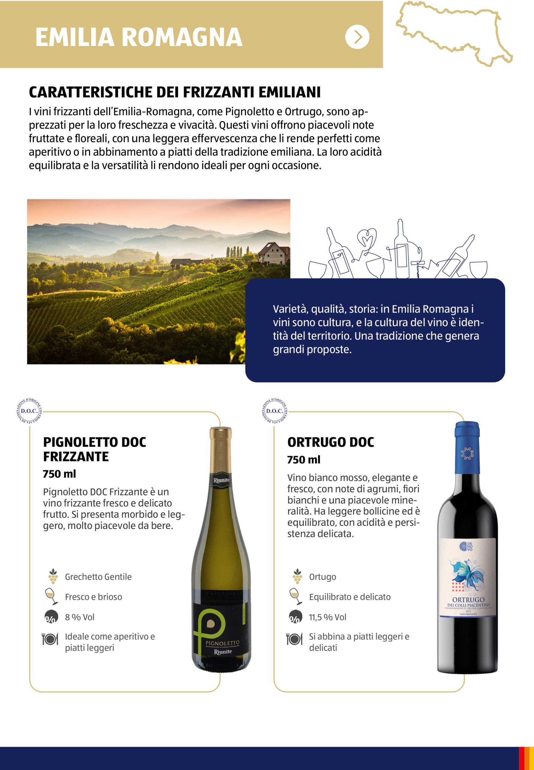 aldi - Volantino ALDI - Brochure Vinoteca valido dal 15/05 al 31/08 - page: 47 aldi - Volantino ALDI - Brochure Vinoteca valido dal 15/05 al 31/08 - page: 47