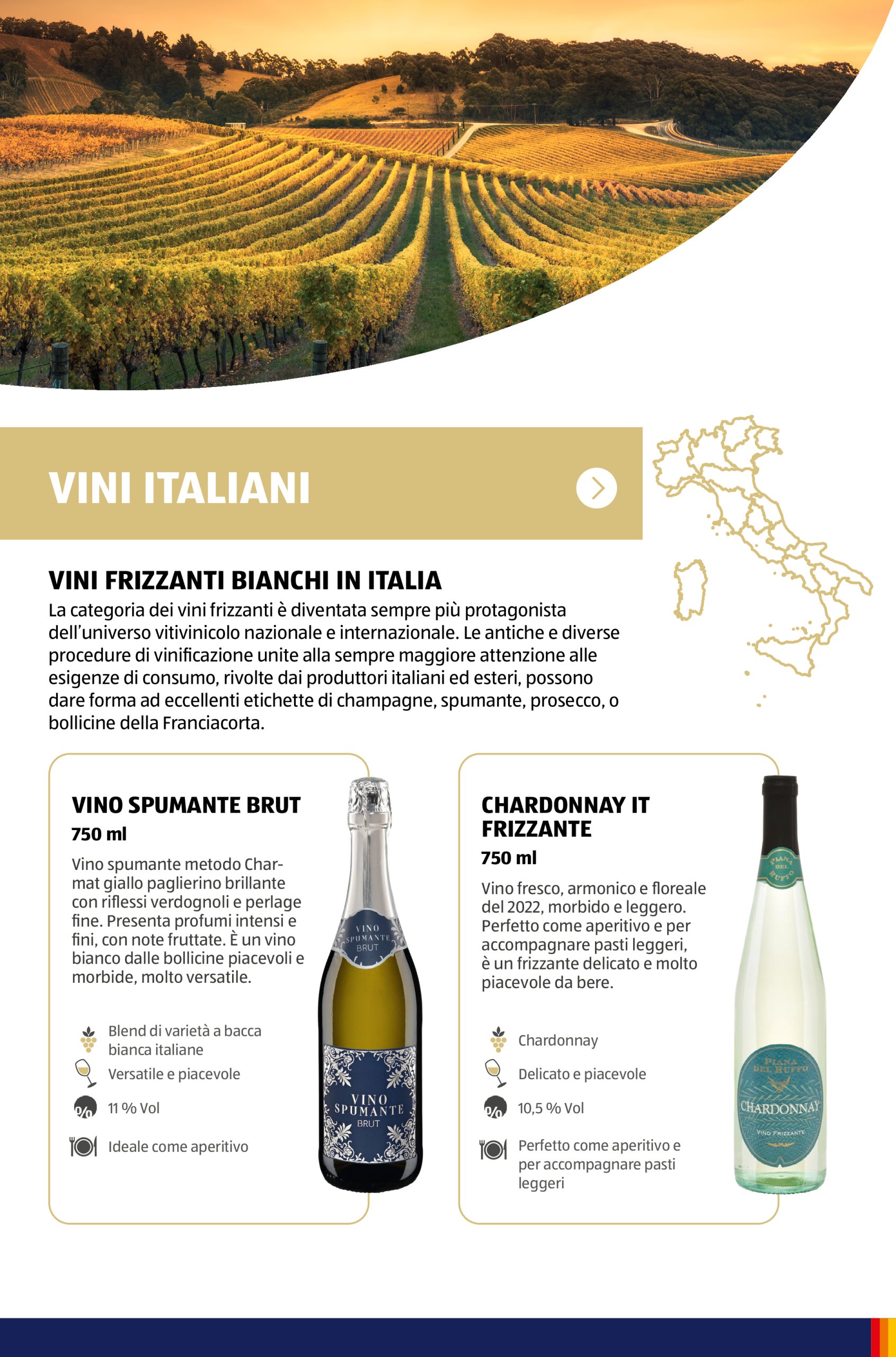 aldi - Volantino ALDI - Brochure Vinoteca valido dal 15/05 al 31/08 - page: 48 aldi - Volantino ALDI - Brochure Vinoteca valido dal 15/05 al 31/08 - page: 48