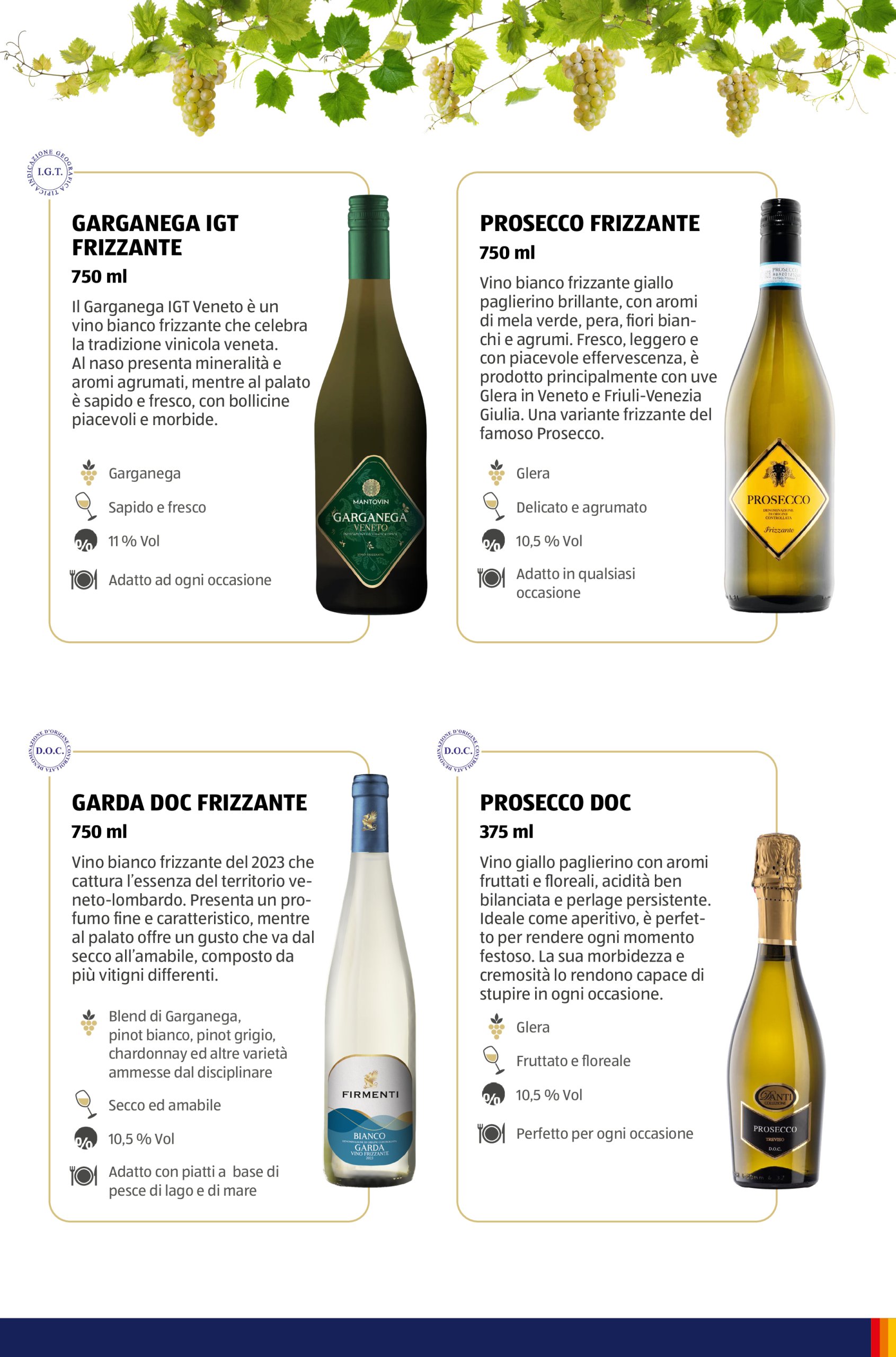 aldi - Volantino ALDI - Brochure Vinoteca valido dal 15/05 al 31/08 - page: 44 aldi - Volantino ALDI - Brochure Vinoteca valido dal 15/05 al 31/08 - page: 44