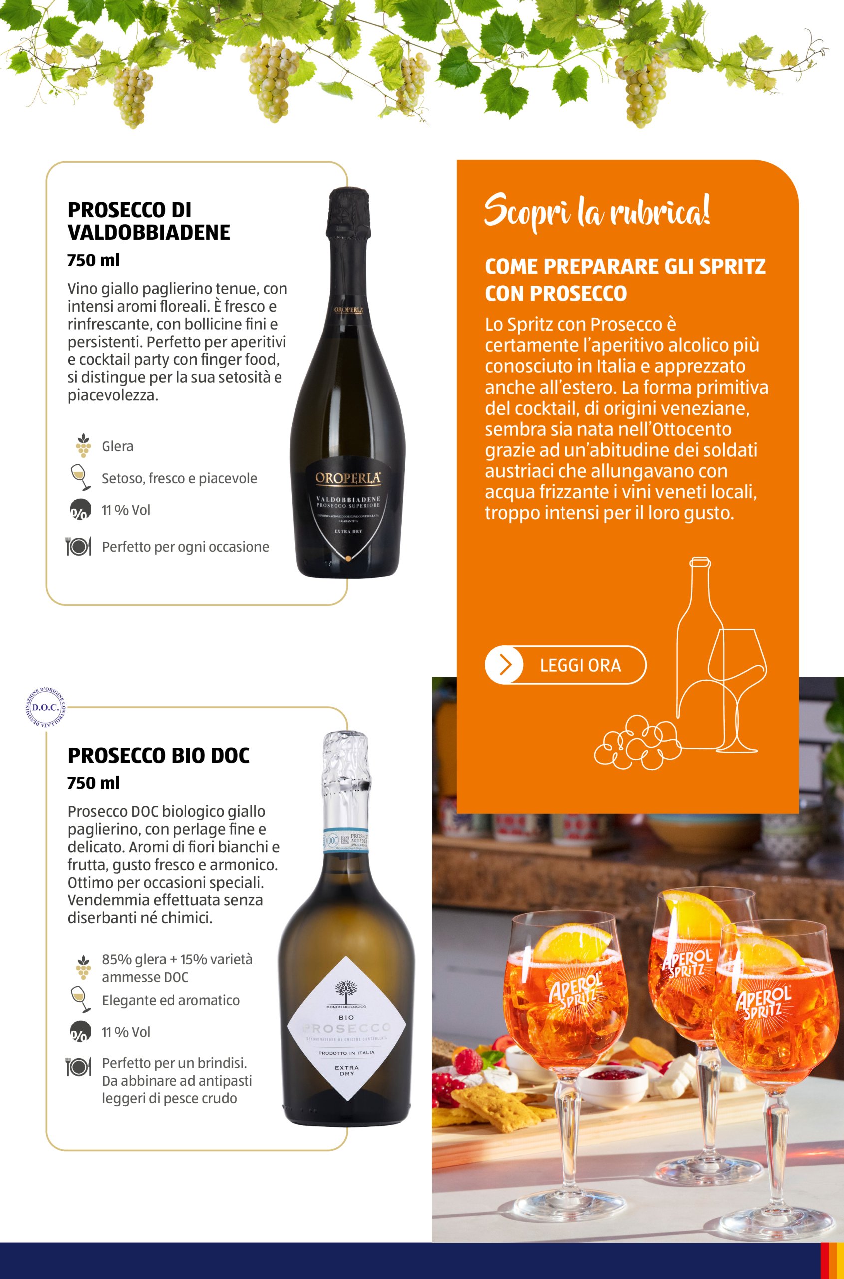 aldi - Volantino ALDI - Brochure Vinoteca valido dal 15/05 al 31/08 - page: 45 aldi - Volantino ALDI - Brochure Vinoteca valido dal 15/05 al 31/08 - page: 45