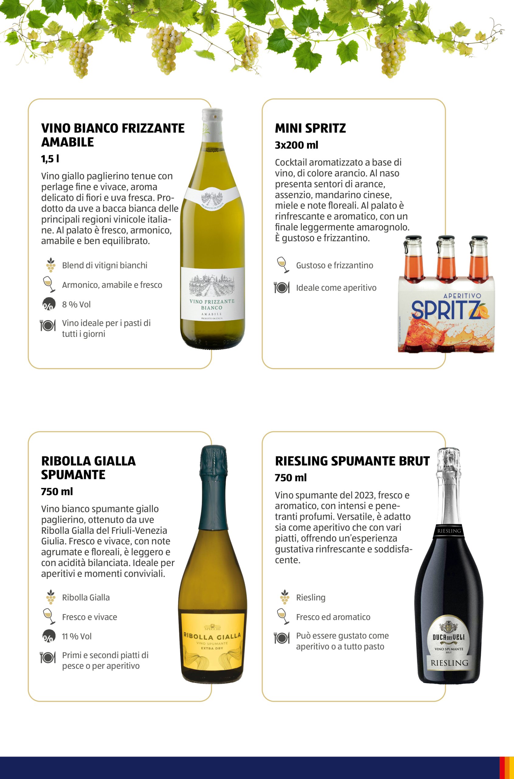 aldi - Volantino ALDI - Brochure Vinoteca valido dal 15/05 al 31/08 - page: 49 aldi - Volantino ALDI - Brochure Vinoteca valido dal 15/05 al 31/08 - page: 49