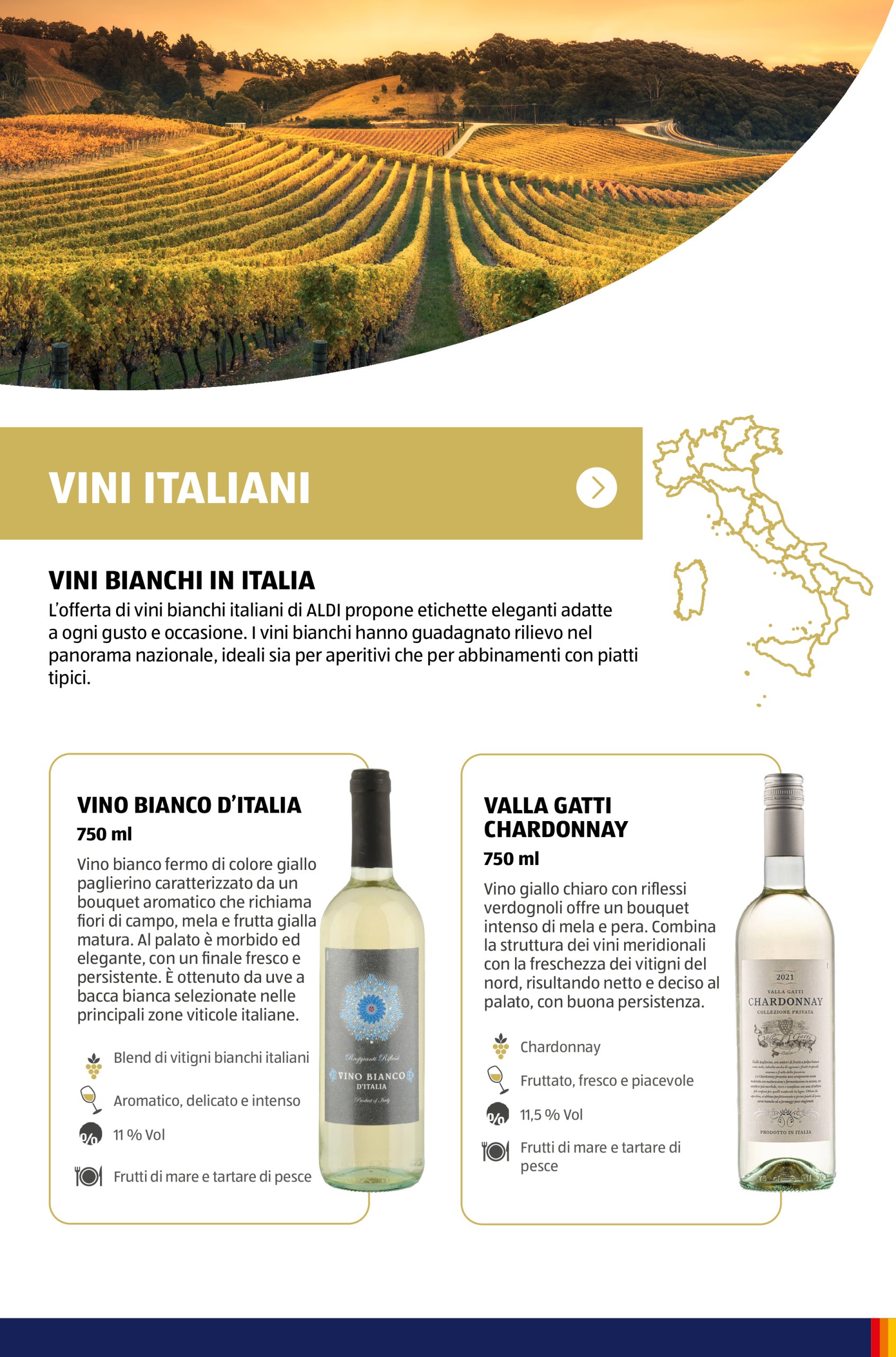 aldi - Volantino ALDI - Brochure Vinoteca valido dal 15/05 al 31/08 - page: 35 aldi - Volantino ALDI - Brochure Vinoteca valido dal 15/05 al 31/08 - page: 35