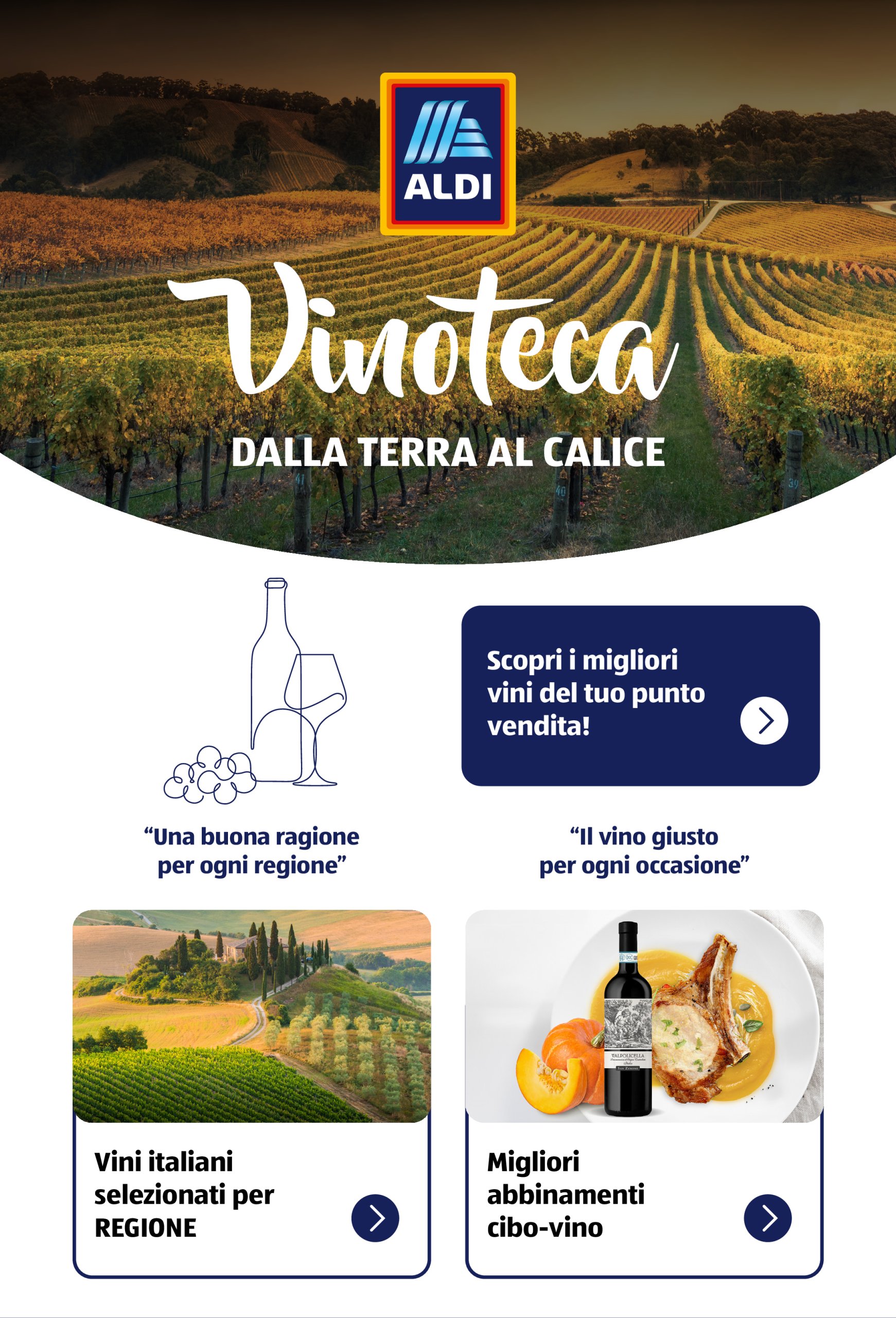 aldi - Volantino ALDI - Brochure Vinoteca valido dal 15/05 al 31/08
