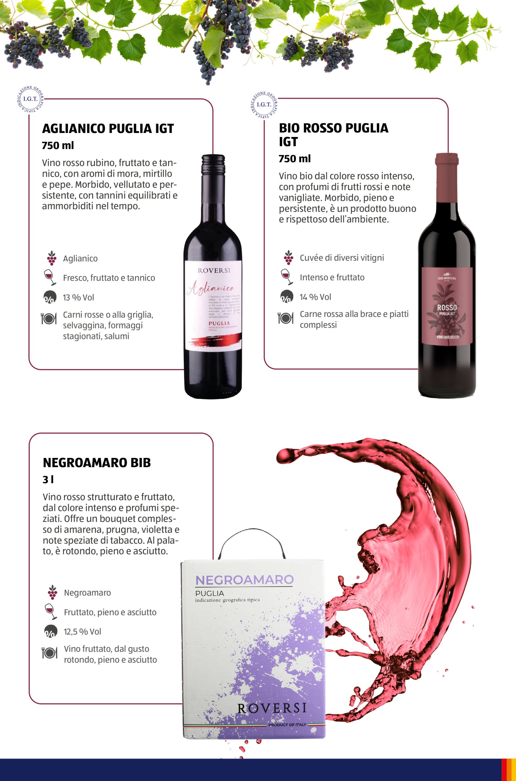 aldi - Volantino ALDI - Brochure Vinoteca valido dal 15/05 al 31/08 - page: 11 aldi - Volantino ALDI - Brochure Vinoteca valido dal 15/05 al 31/08 - page: 11