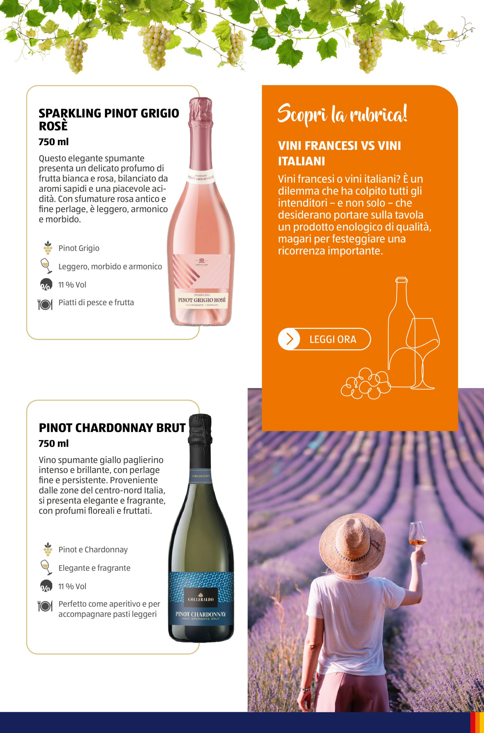aldi - Volantino ALDI - Brochure Vinoteca valido dal 15/05 al 31/08 - page: 50 aldi - Volantino ALDI - Brochure Vinoteca valido dal 15/05 al 31/08 - page: 50
