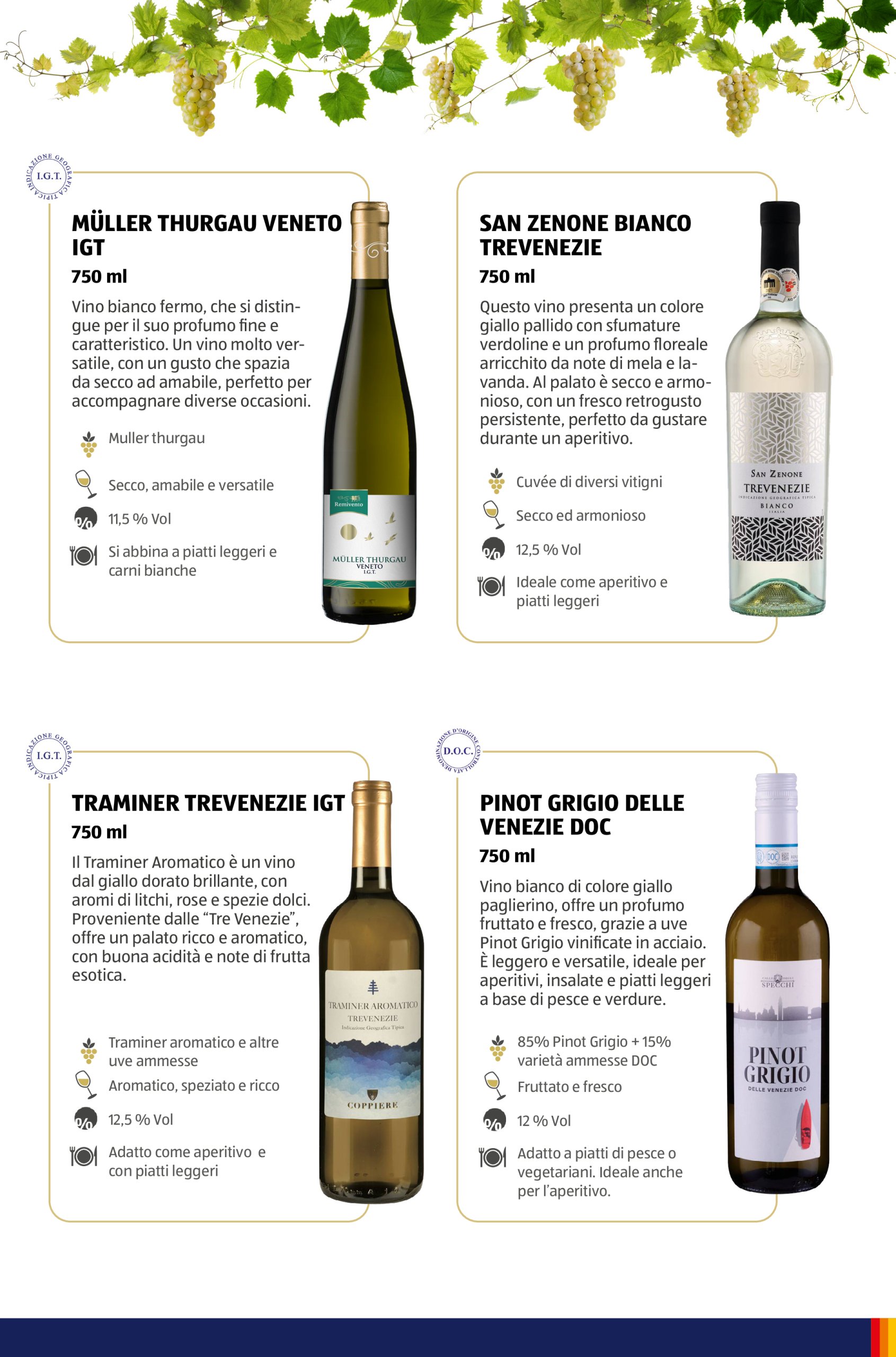 aldi - Volantino ALDI - Brochure Vinoteca valido dal 15/05 al 31/08 - page: 30 aldi - Volantino ALDI - Brochure Vinoteca valido dal 15/05 al 31/08 - page: 30