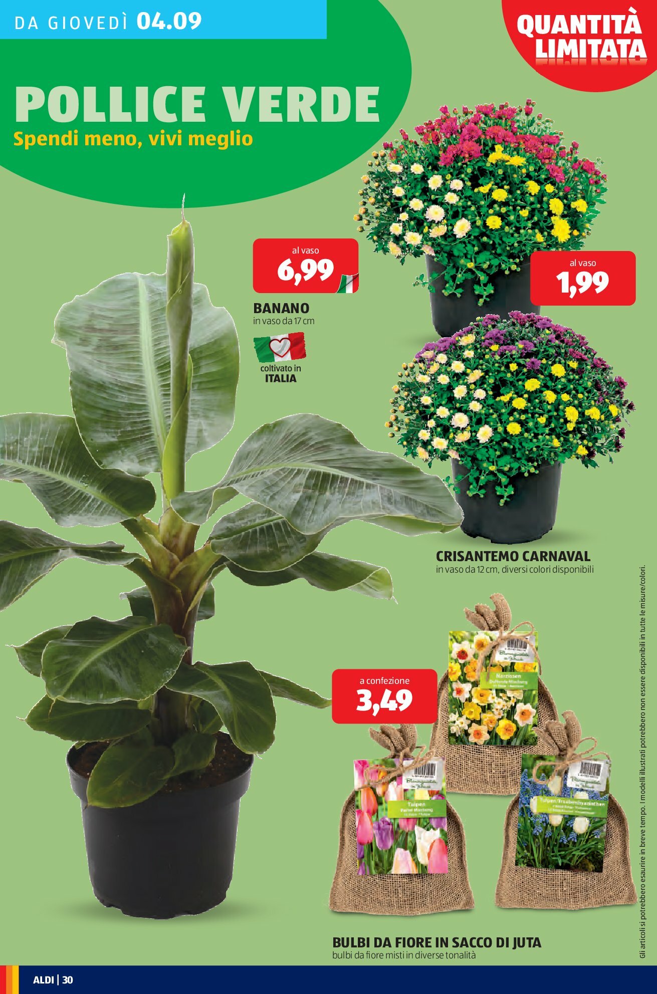 aldi - Volantino ALDI valido dal 01/09 al 07/09 - page: 30