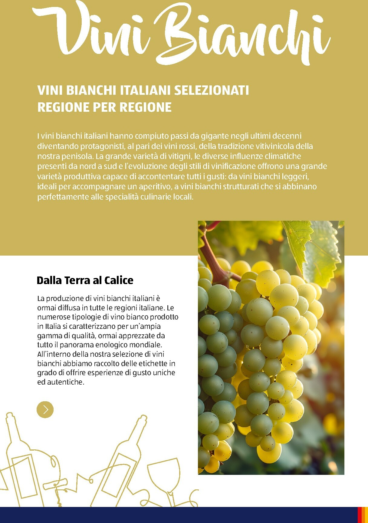 aldi - Volantino ALDI - Brochure Vinoteca valido dal 01/11 al 31/12 - page: 30