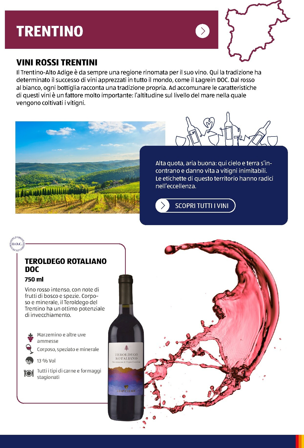 aldi - Volantino ALDI - Brochure Vinoteca valido dal 01/11 al 31/12 - page: 17