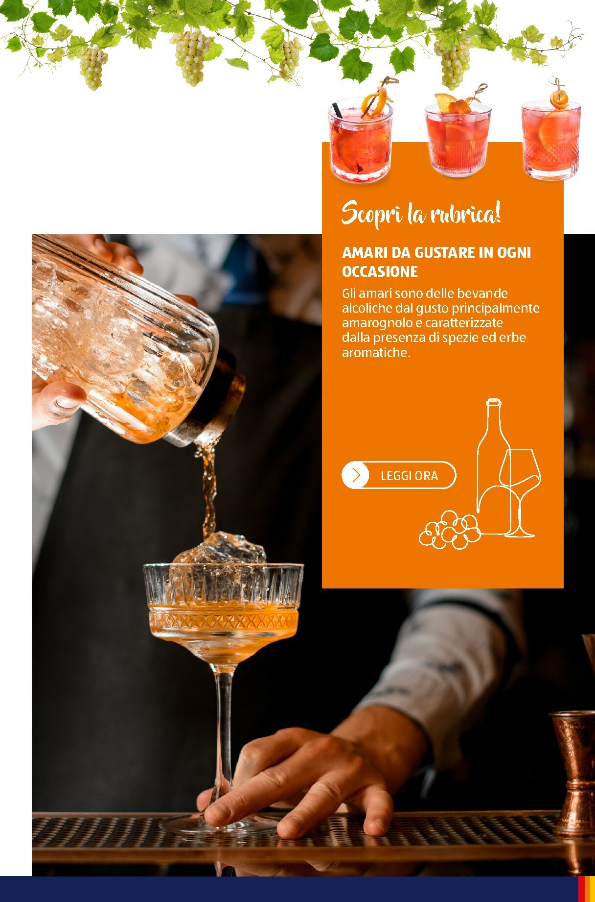 aldi - Volantino ALDI - Brochure Vinoteca valido dal 01/11 al 31/12 - page: 62