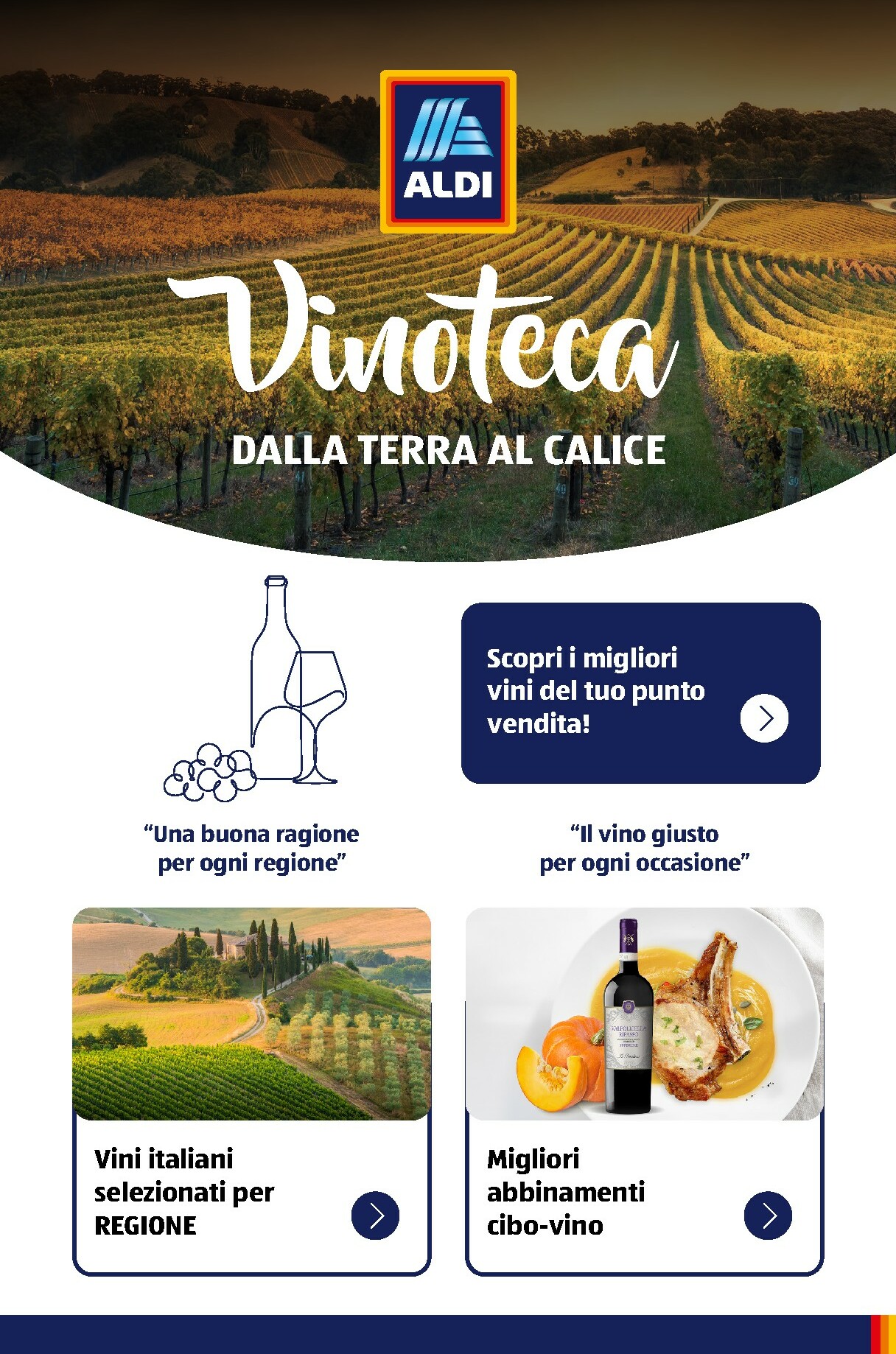 aldi - Volantino ALDI - Brochure Vinoteca valido dal 01/11 al 31/12
